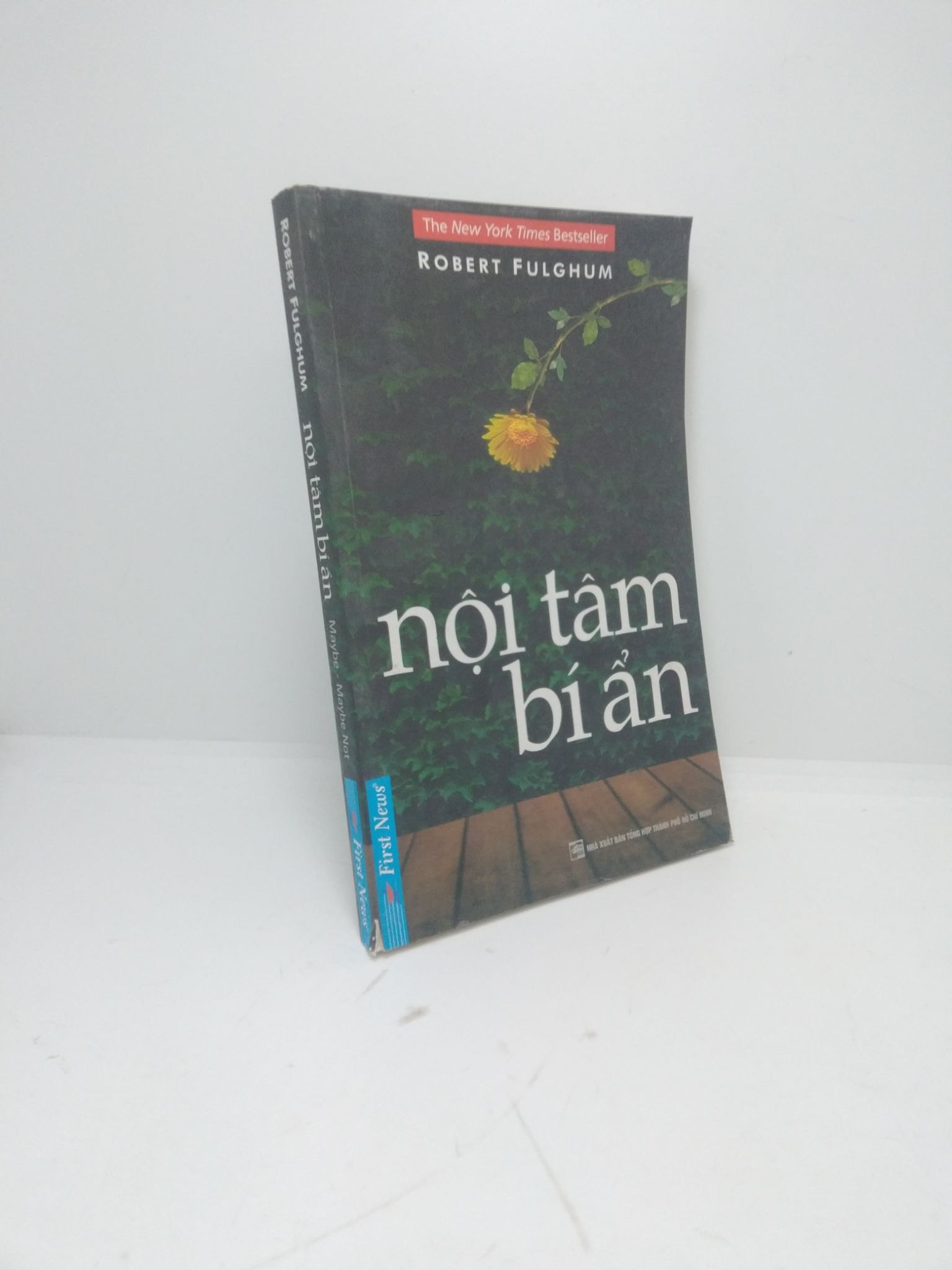 Nội tâm bí ẩn năm 2013 mới 80%, ố nhẹ HCM2211 (NSX)