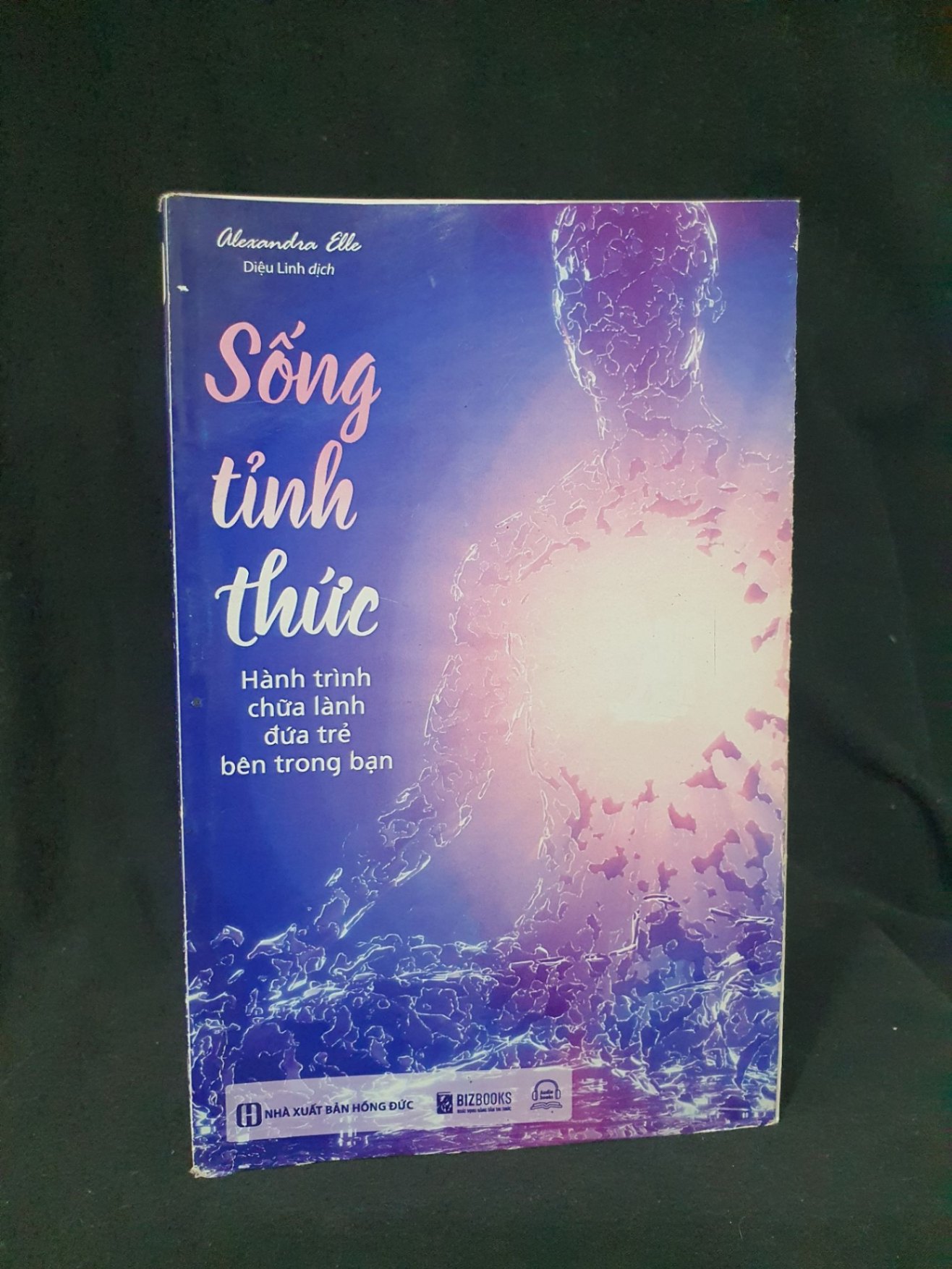 SỐNG TỈNH THỨC MỚI 90% 2023 -HCM205 ALEXANDRA ELLE SÁCH TÂM LINH - TÔN GIÁO - THIỀN (NSX)