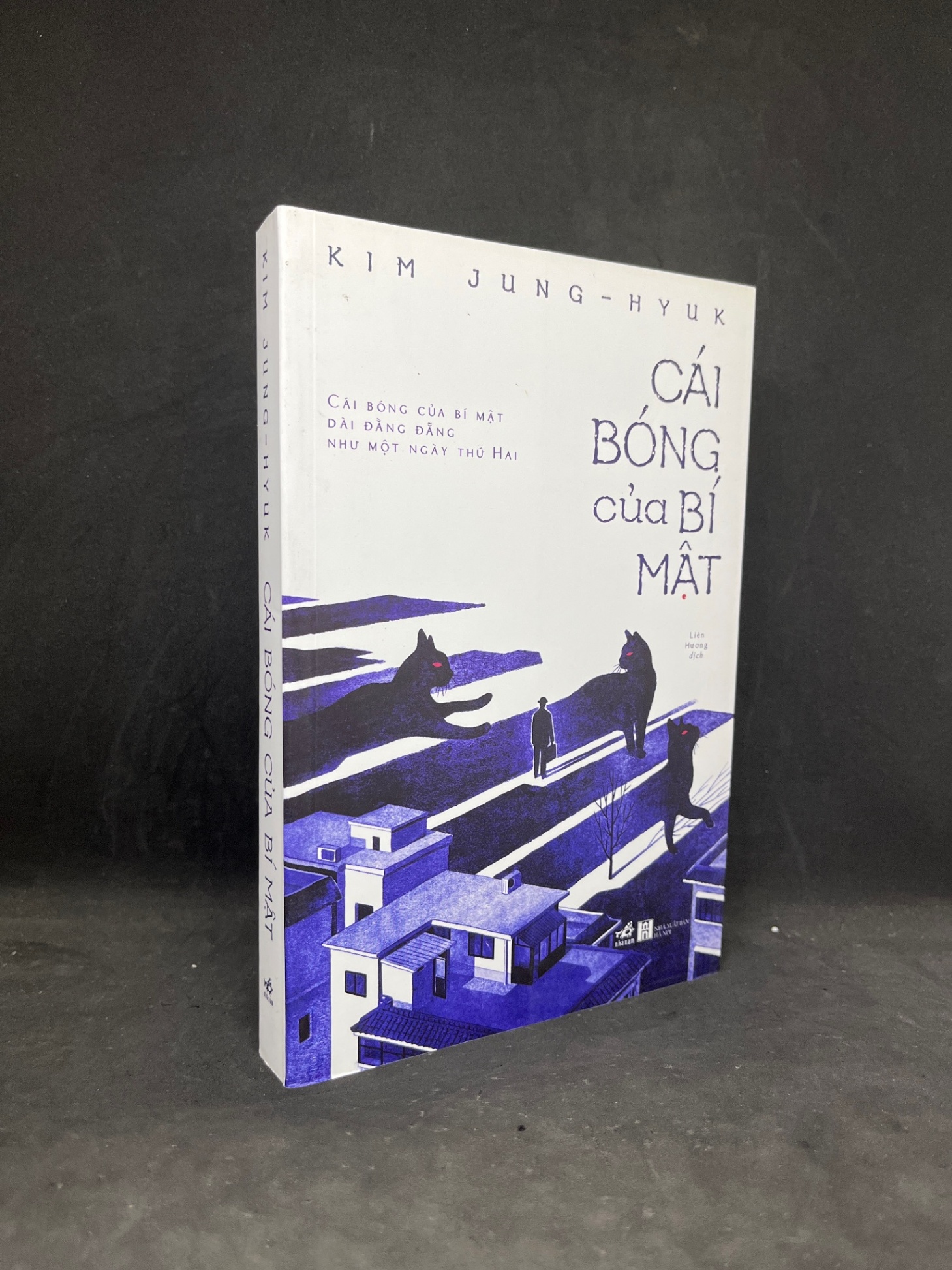 Cái Bóng Của Bí Mật - Kim Jung Hyuk new 90% HCM0906 (NSX)