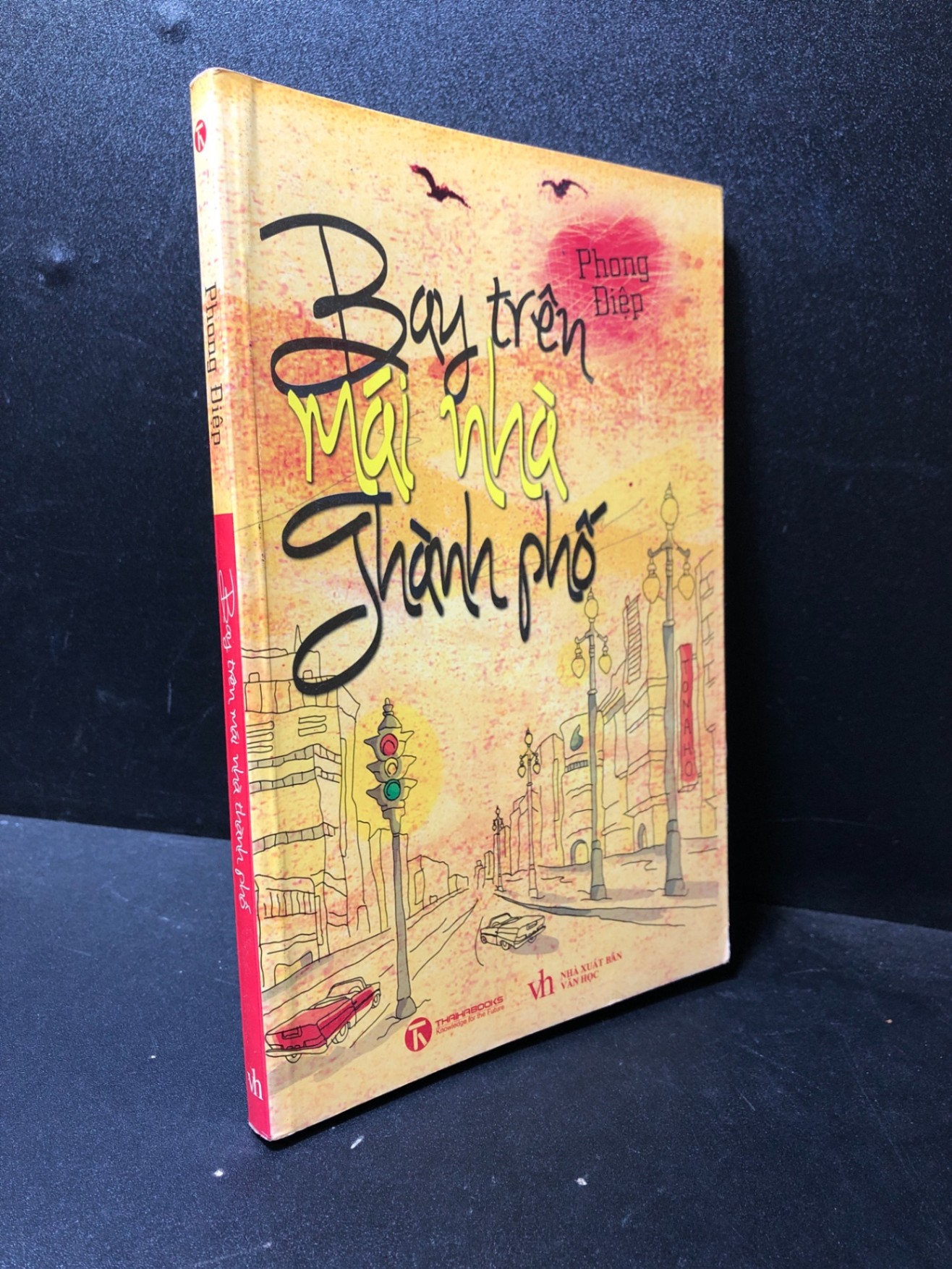 Bay trên mái nhà thành phố 2012 Phong Điệp mới 90% SBMQ7-0612