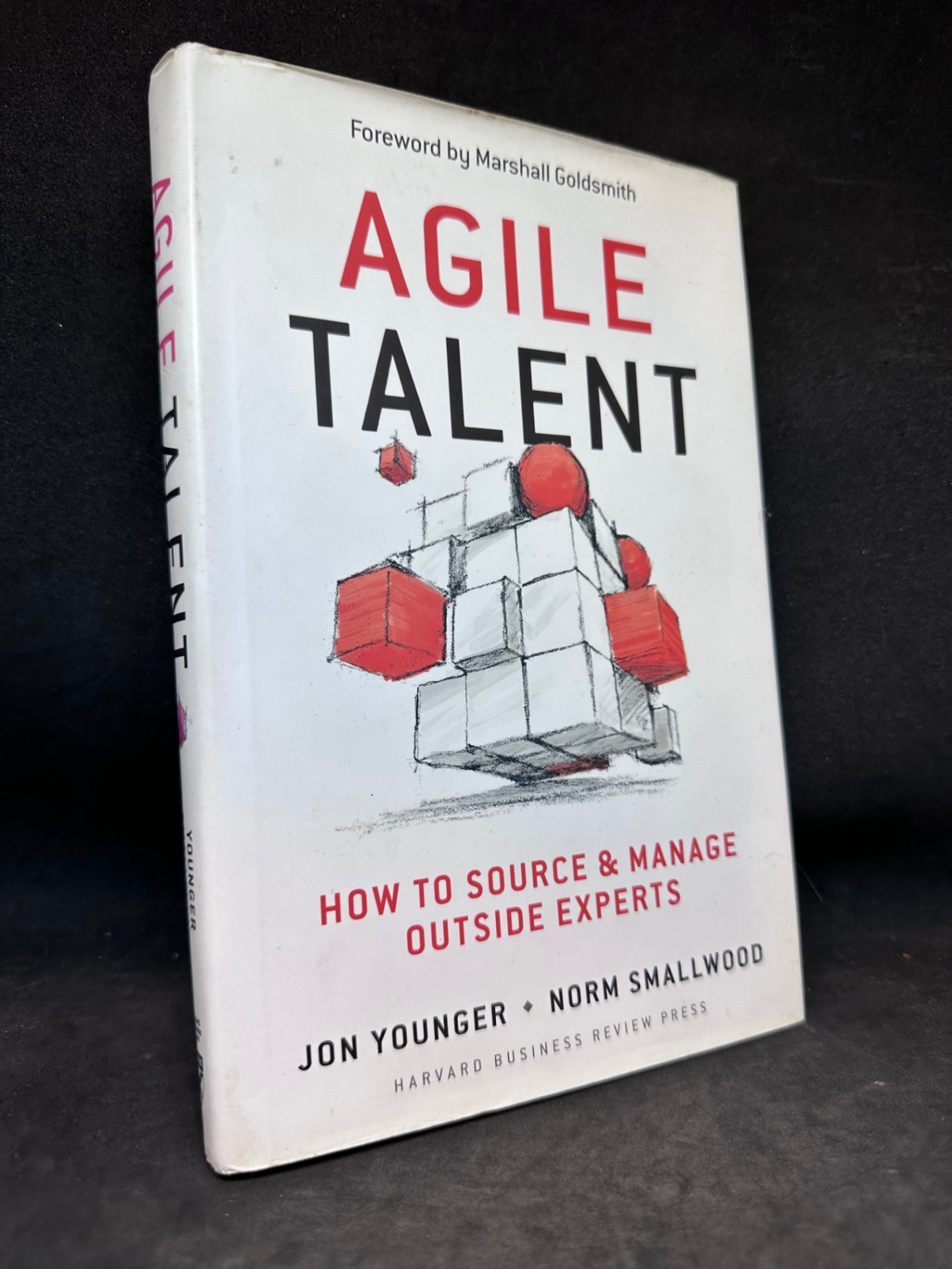 Agile talent (hard cover) Jon Younger - Norm Smallwood New 80% SBM1404