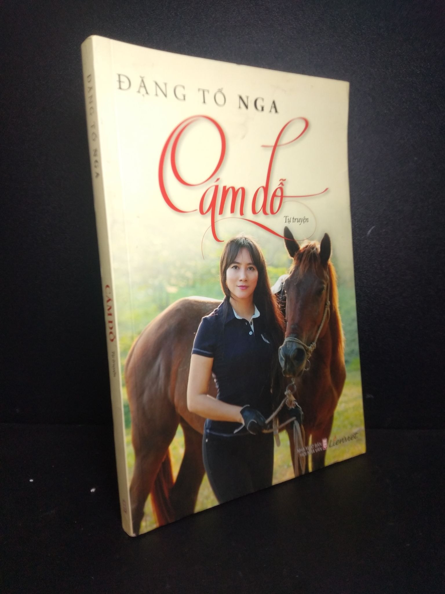 Cám dỗ Đặng Tố Nga 2019 mới 80% bẩn bìa, ố nhẹ HCM0710