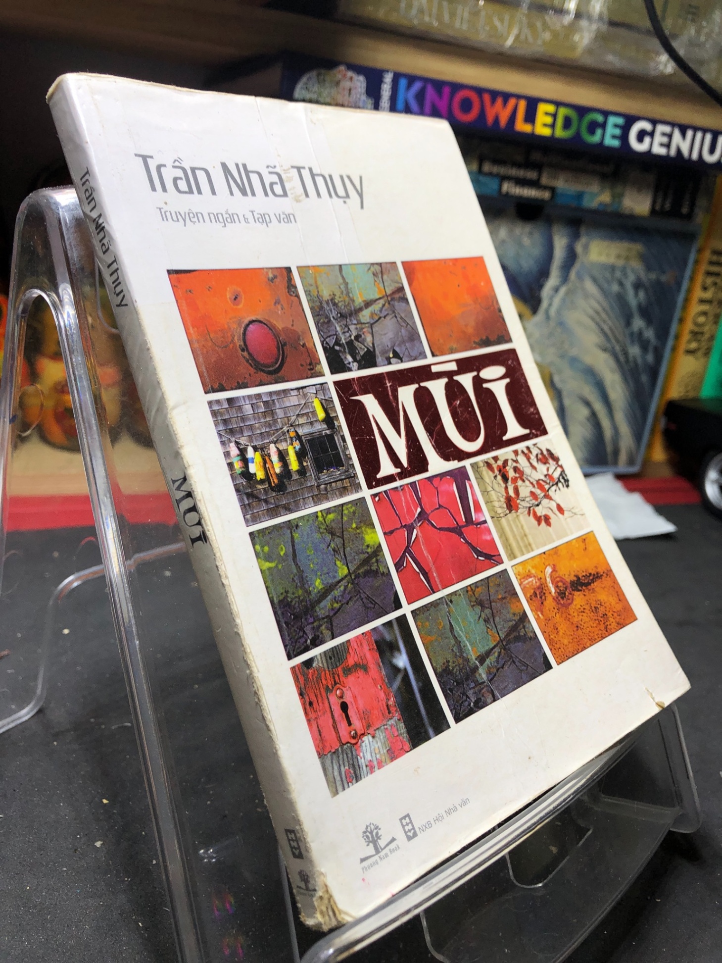 Mùi 2011 mới 70% ố bẩn nhẹ Trần Nhã Thụy HPB0906 SÁCH VĂN HỌC (NSX) (NSX)
