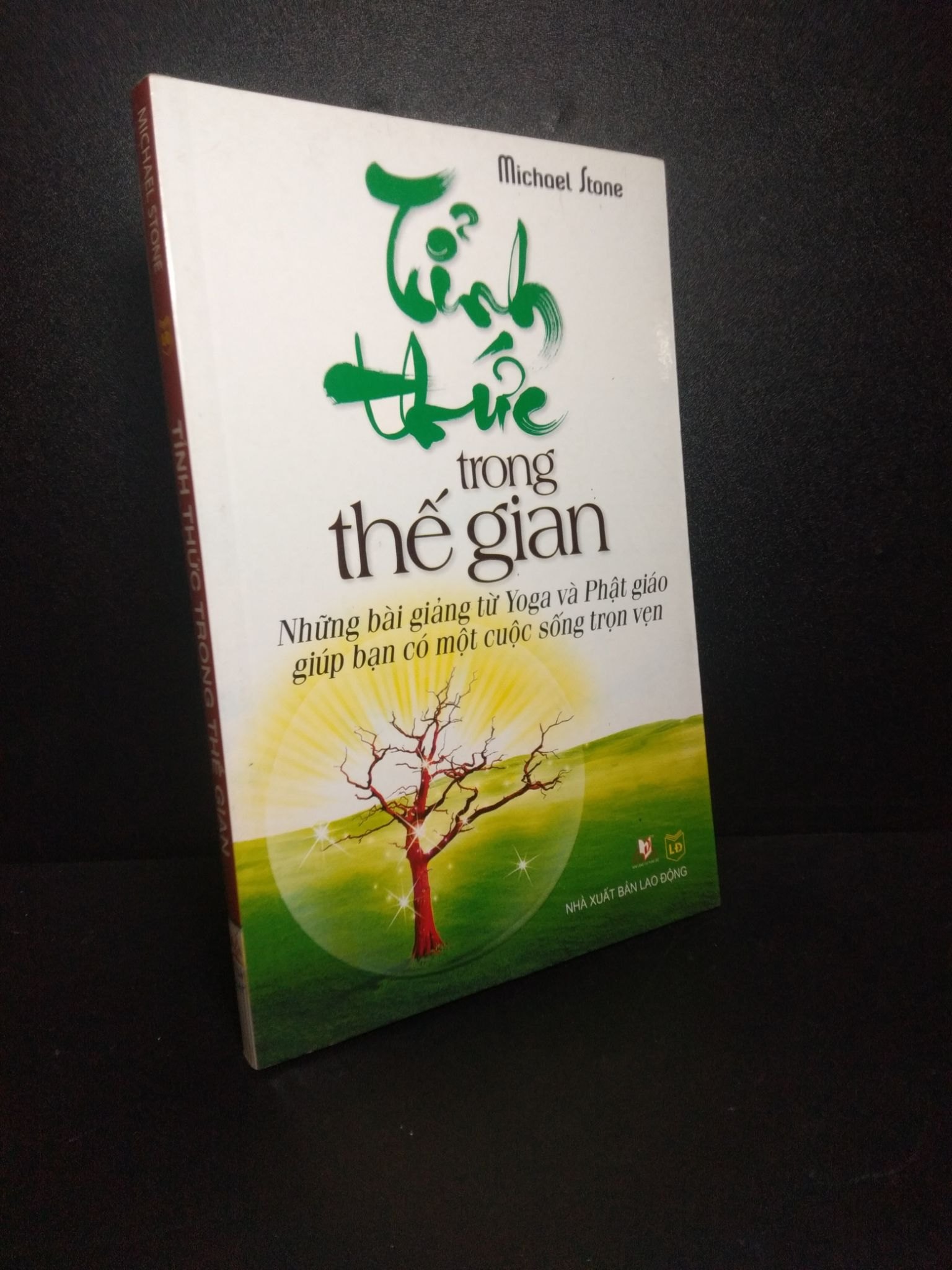Tỉnh thức trong thế gian những bài giảng từ yoga và phật giáo giúp bạn có một cuộc sống trọn vẹn 2013 mới 80% bẩn bìa HCM0510