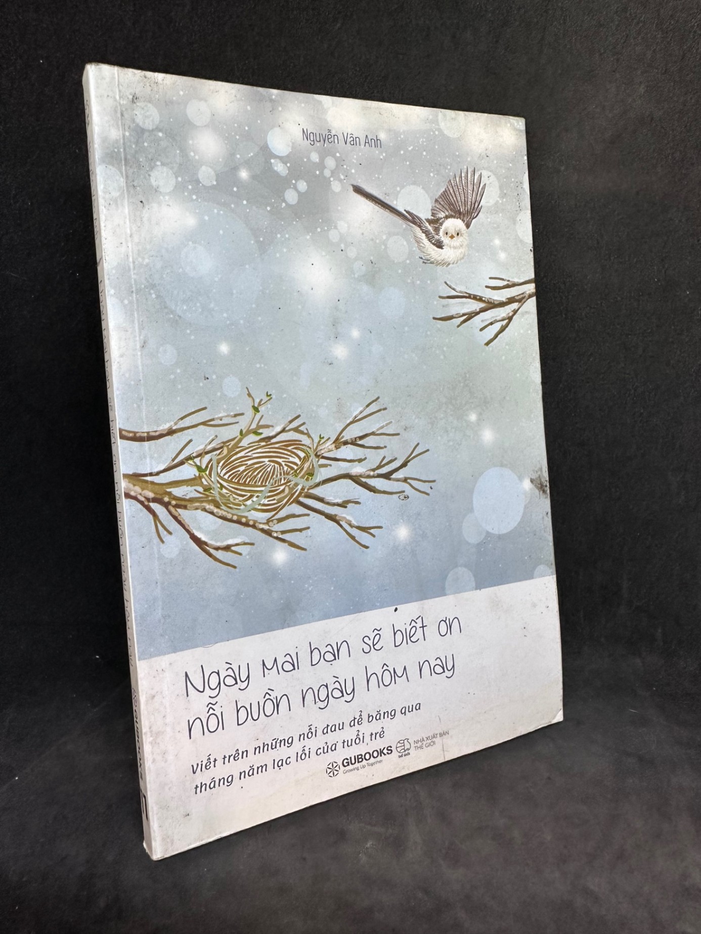Ngày mai bạn sẽ biết ơn nỗi buồn ngày hôm nay, Nguyễn Vân Anh, 2018, mới 80% (có vết ố) SBM0812