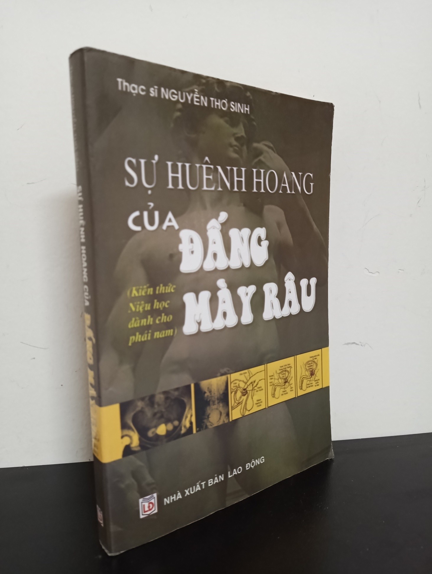 Sự Huênh Hoang Của Đấng Mày Râu - Kiến Thức Niệu Học Dành Cho Phái Nam (2007) - Thạc sĩ Nguyễn Thơ Sinh Mới 80% HCM.ASB1103 (NSX)