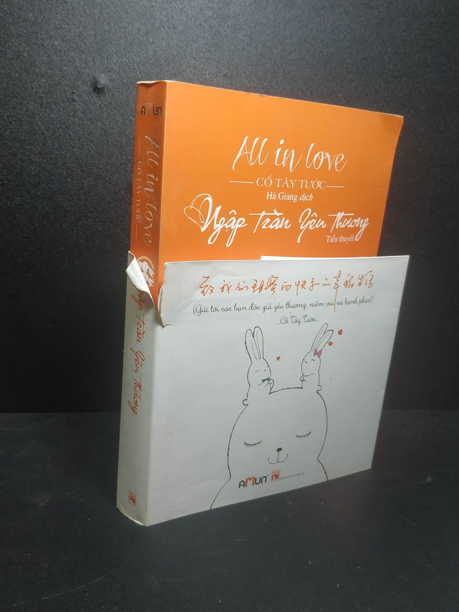 All in love Ngập tràn yêu thương 2017 - Cố Tây Tước (rách áo bìa) new 80% HCM.LN0807 (NSX)
