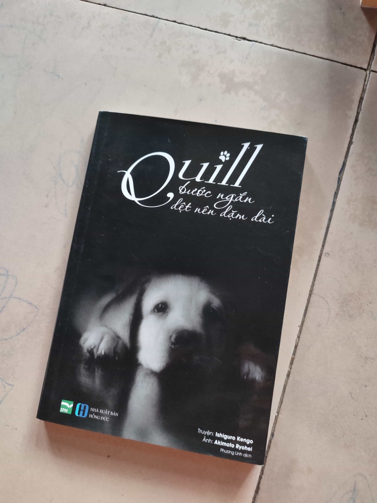 Quill bước ngắn dệt nên dặm dàiHCM01/03