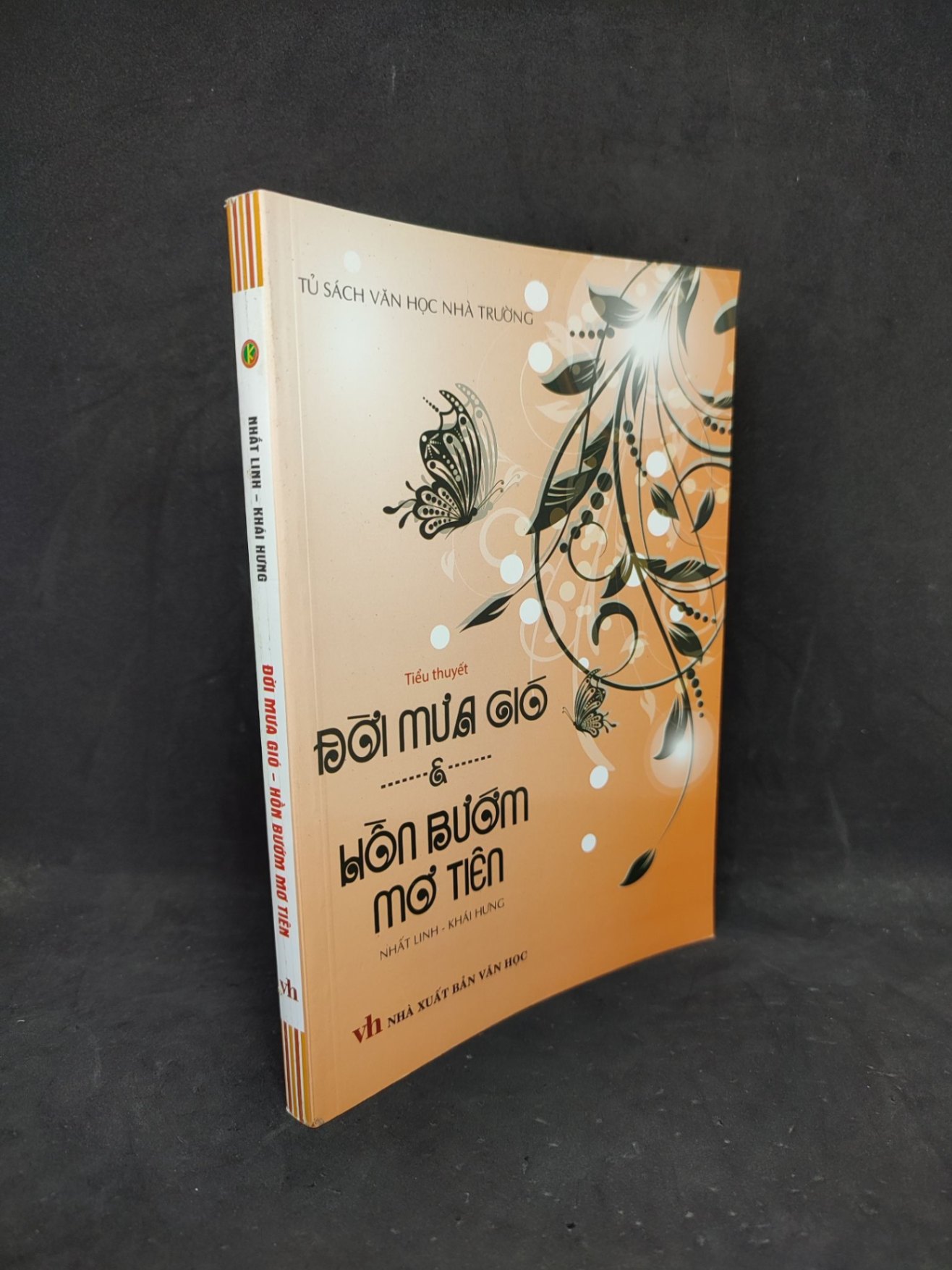 Đời mưa gió hồn bướm mơ tiên mới 90% HCM1604