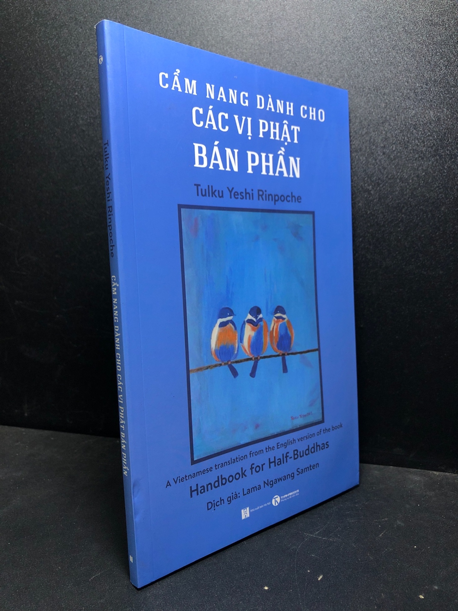 Cẩm nang dành cho các vị Phật Bán Phần 2019 Tulku Yeshi Rinpoche mới 80% ố (cẩm nang phật giáo) HCM2301 (NSX)