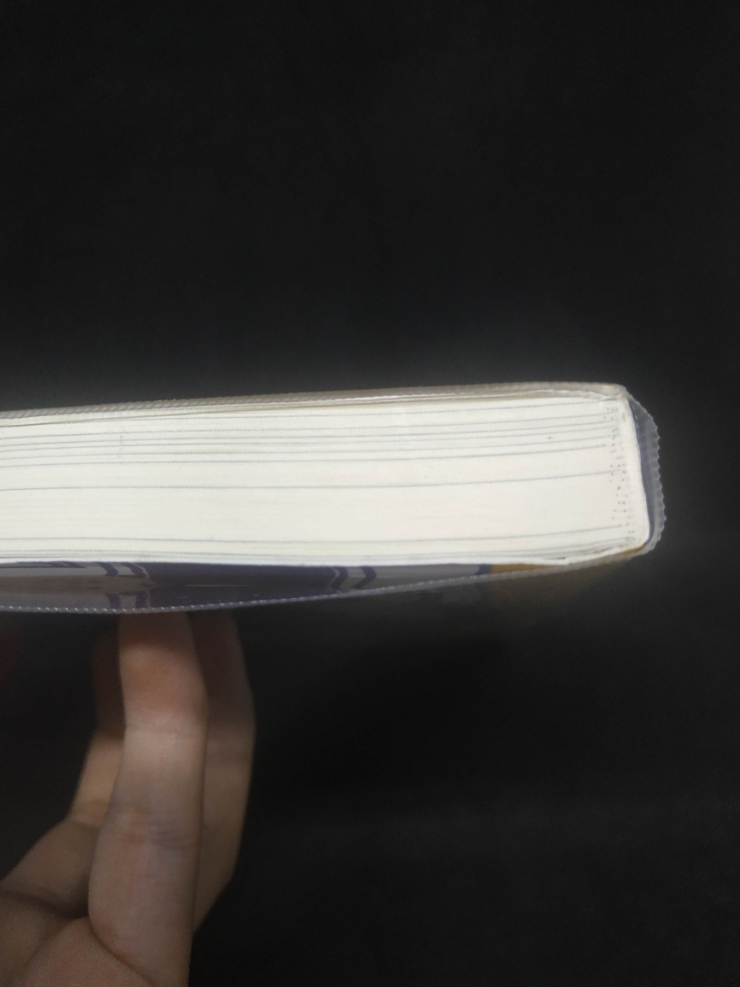 Tuổi trẻ rực rỡ mới 90% HCM1204 (NSX)