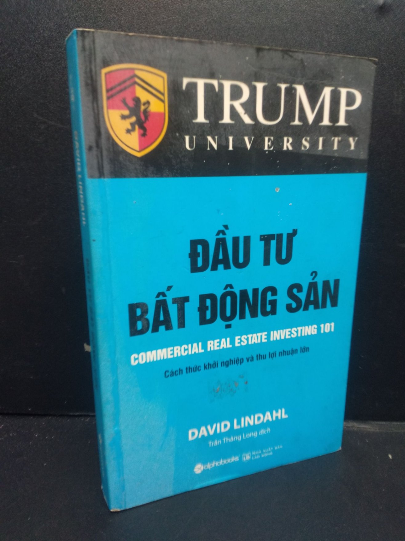 Đầu Tư Bất Động Sản mới 80% ố nhẹ, bẩn bìa 2019 HCM2405 David Lindahl SÁCH KỸ NĂNG (NSX)
