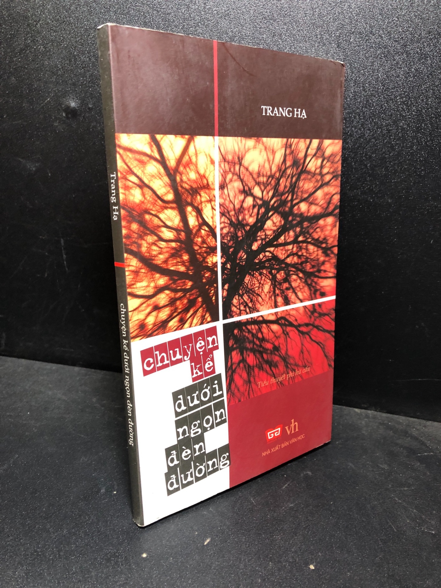 Chuyện kể dưới ngọn đèn đường 2010 Trang Hạ mới 85% bẩn nhẹ (văn học) HCM0101 (NSX)