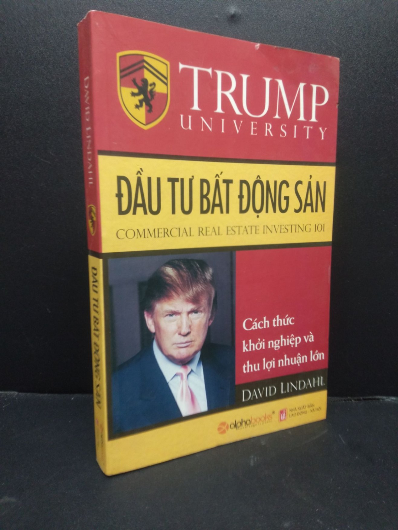 Đầu tư bất động sản David Lindahl 2009 mới 80% ố nhẹ HCM3105 kinh doanh (NSX)