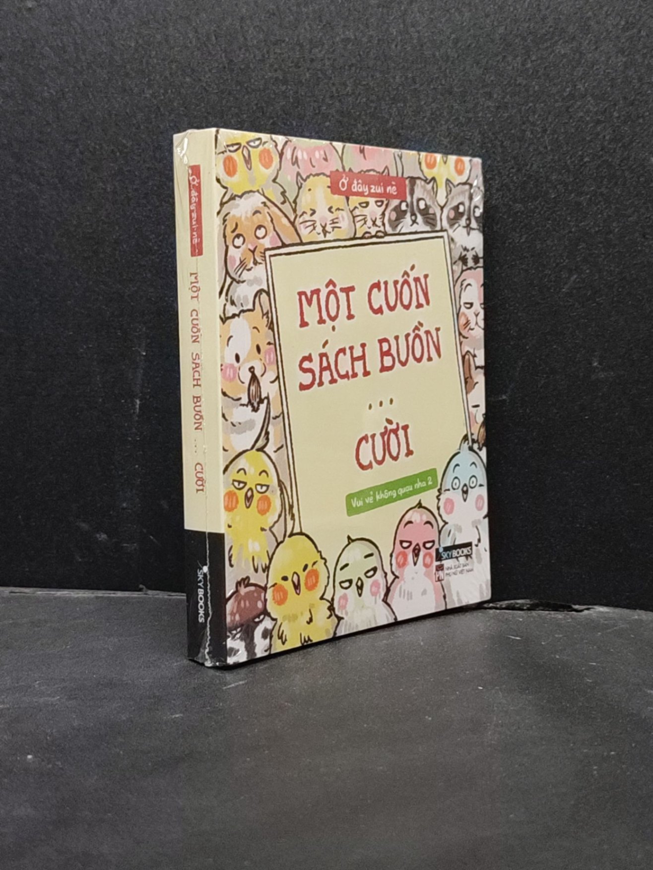 Một cuốn sách buồn cưới mới 100% HCM1406 Ở đây zui nè SÁCH VĂN HỌC