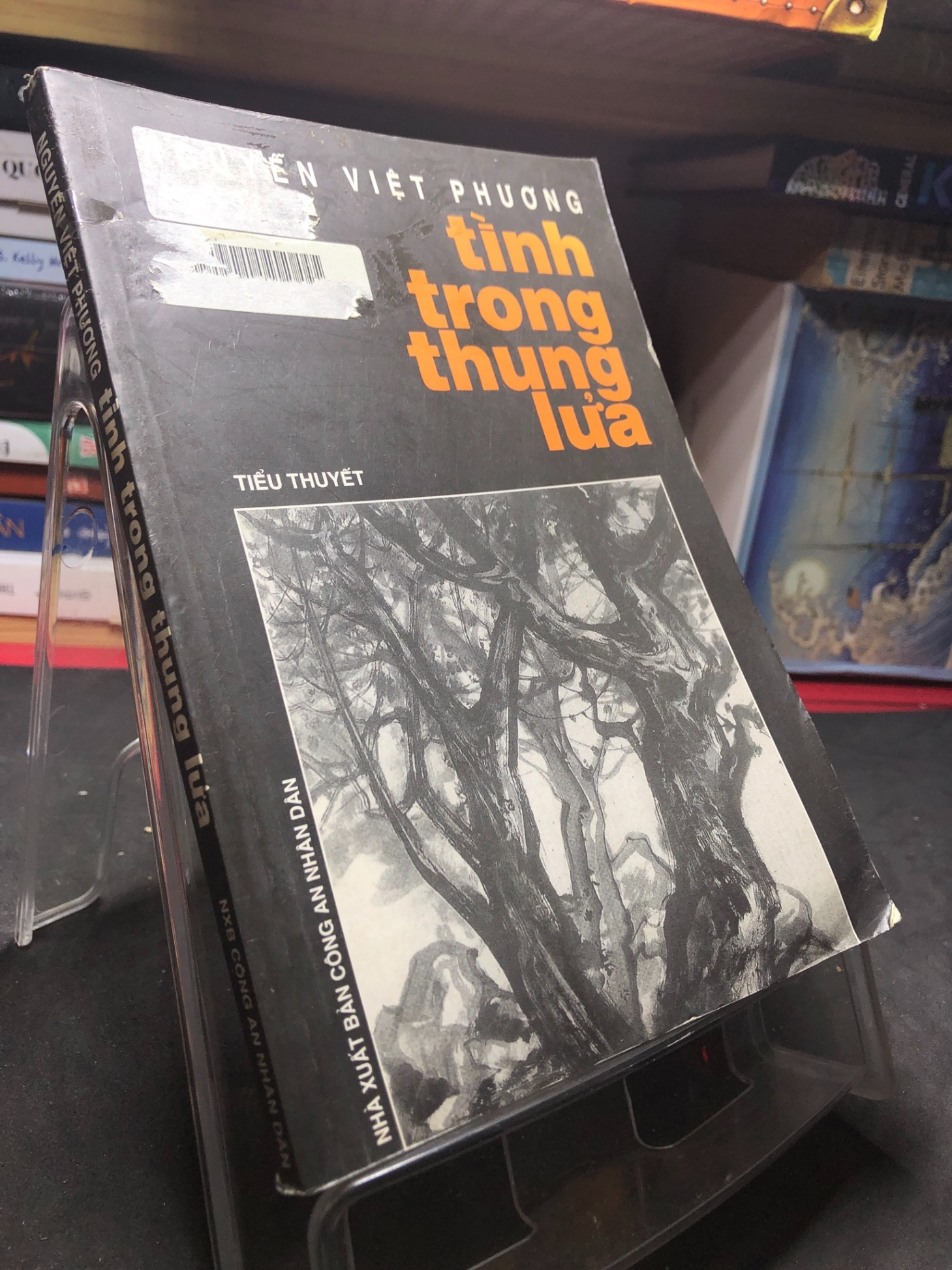 Tình trong thung lửa 2001 mới 70% ố bẩn nhẹ Nguyễn Việt Phương HPB0906 SÁCH VĂN HỌC (NSX)