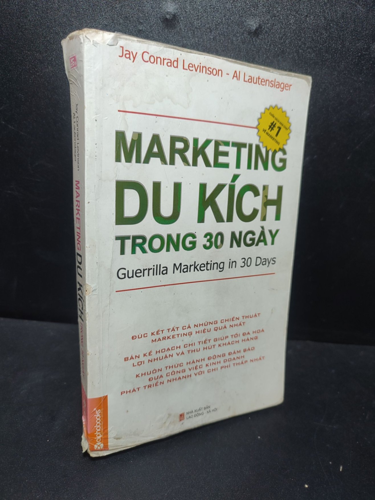Marketing du kích trong 30 ngày 2013 Jay Conrad Levinson mới 75% ố , viết , rách gáy (marketing kinh doanh) HCM2701
