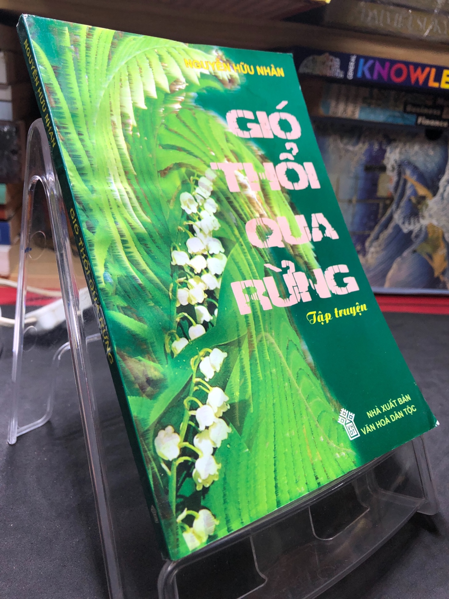Gió thổi qua rừng 2007 mới 70% ố bẩn cong ẩm nhẹ Nguyễn Hữu Nhàn HPB0906 SÁCH VĂN HỌC (NSX)
