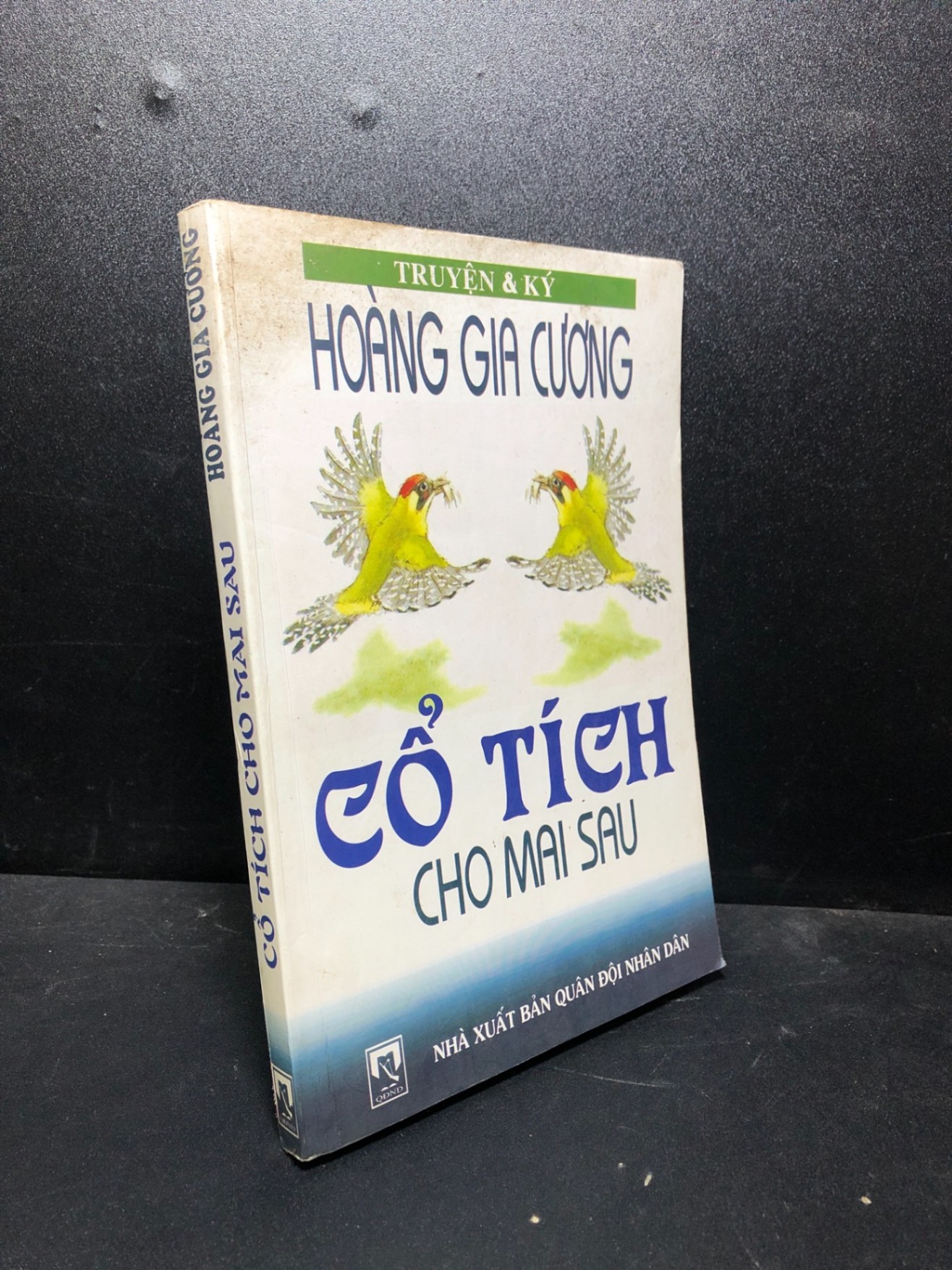 Cổ tích cho mai sau Hoàng Gia Cương 2006 bẩn bìa ố vẽ bút bi new 80% HCM0601 văn học (NSX)