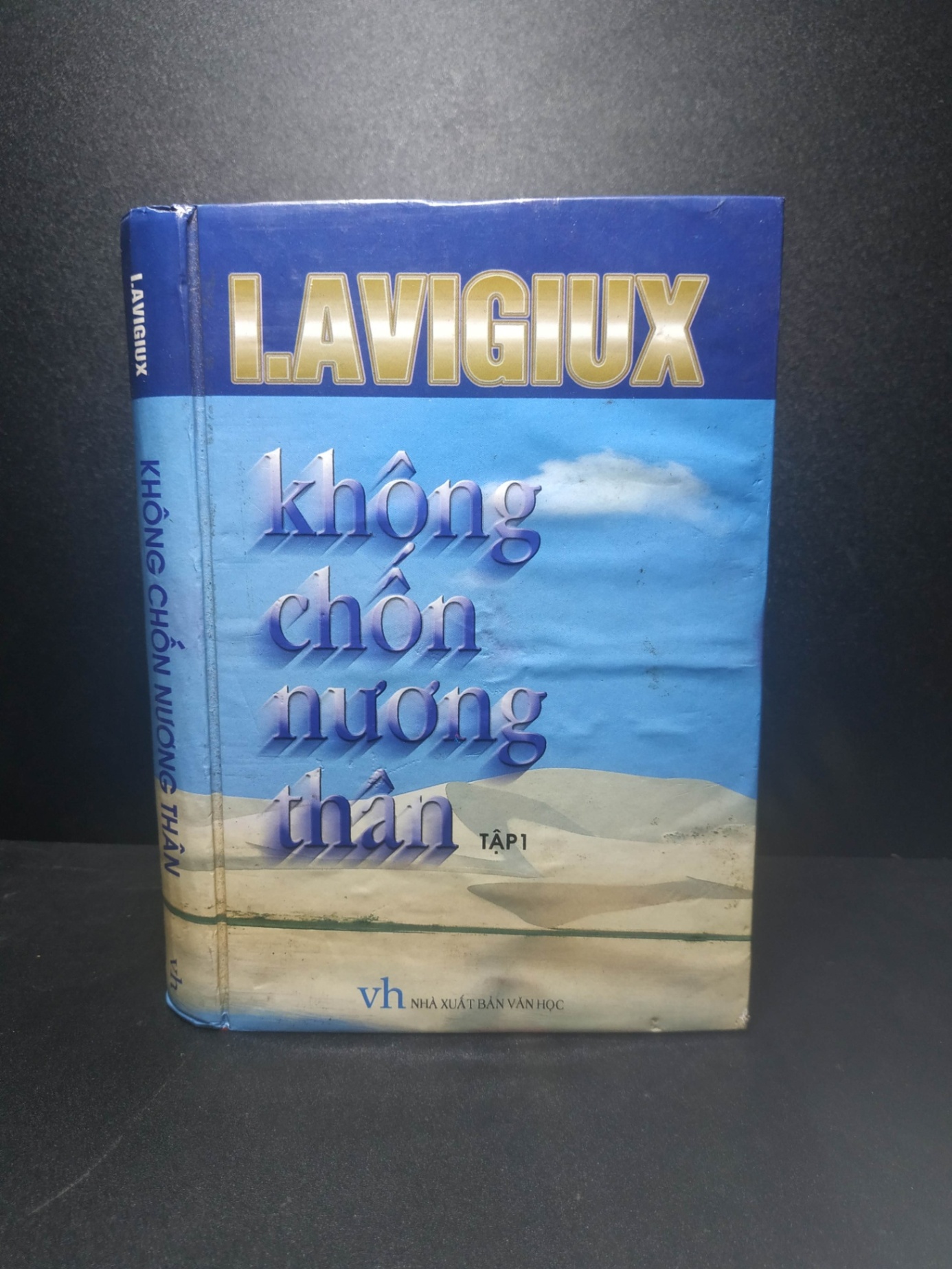 Không chốn nương thân 2000 - I.Avigiux (bìa cứng, ố nhẹ) new 80% HCM2007 (NSX)