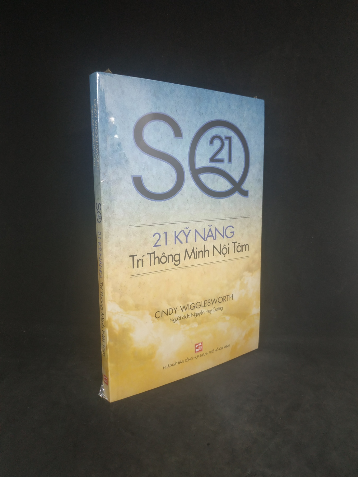 21 kỹ năng trí thông minh nội tâm 100% HCM0202