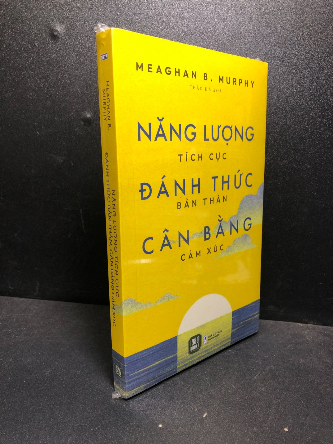 Năng lượng tích cực đánh thức bản thân cân bằng cảm xúc Meaghan B.Murphy new 100% HCM.ASB0301 kỹ năng, tư duy