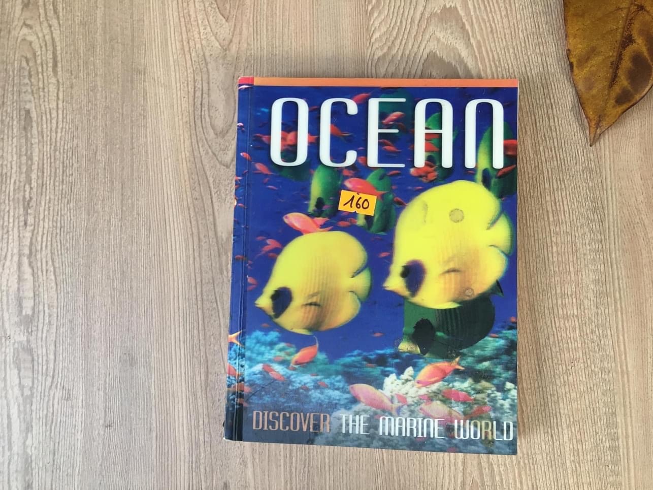 OCEAN bìa cứng mới 90% OSB2810