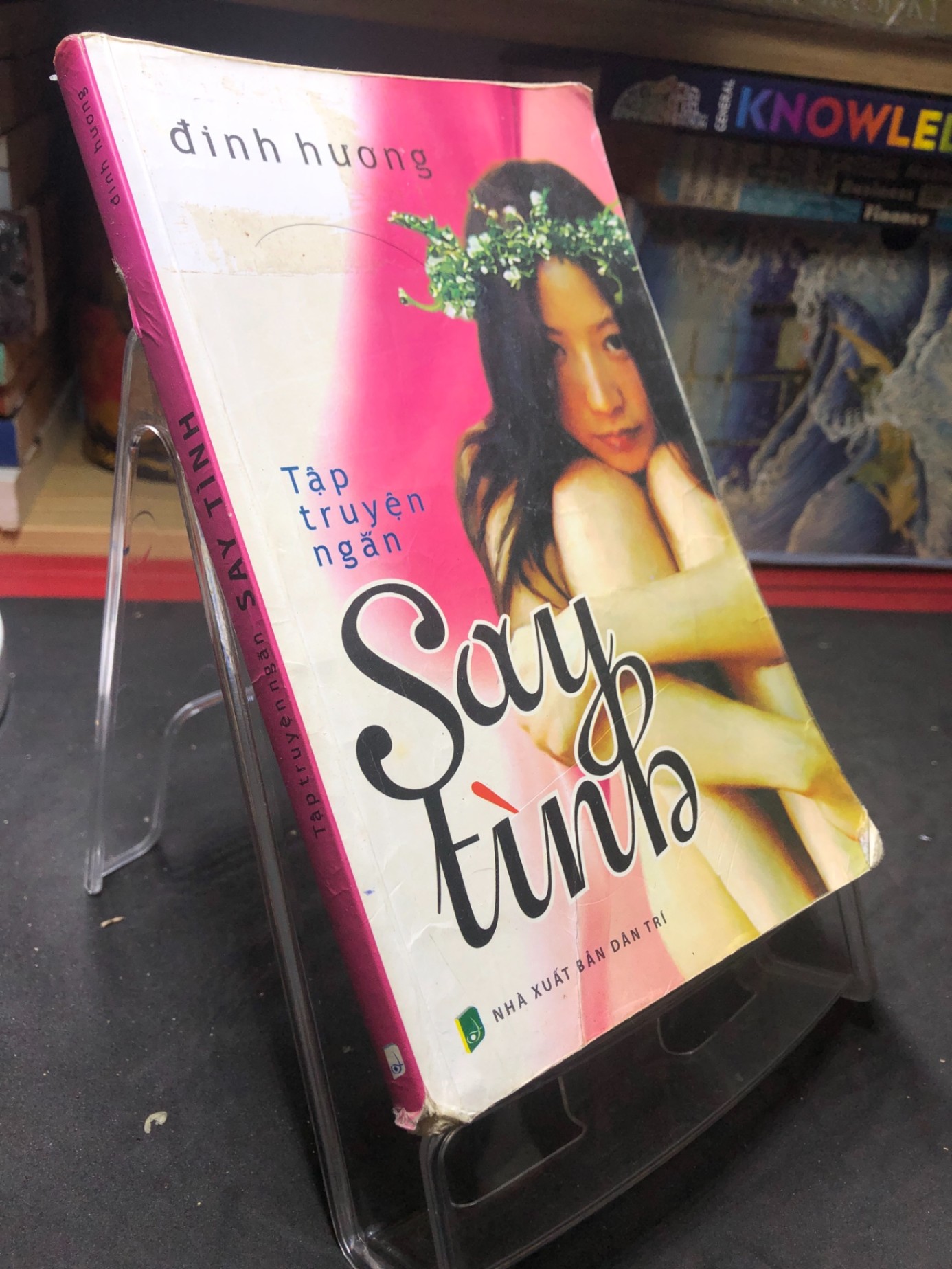 Say tình 2012 mới 60% ố bẩn cong ẩm nhẹ Đinh Hương HPB0906 SÁCH VĂN HỌC (NSX)