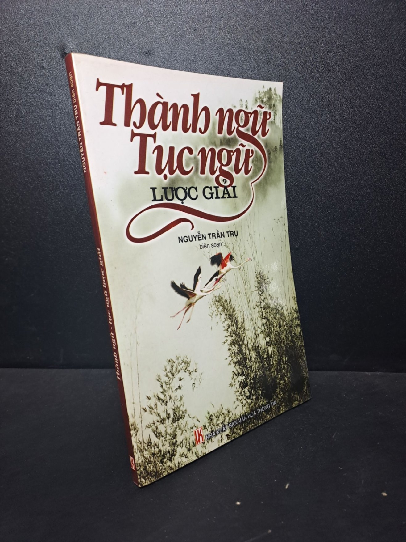Thành ngữ tục ngữ lược giải 2008 Nguyễn Trần Trụ mới 85% bẩn (văn học) HCM3012 (NSX)