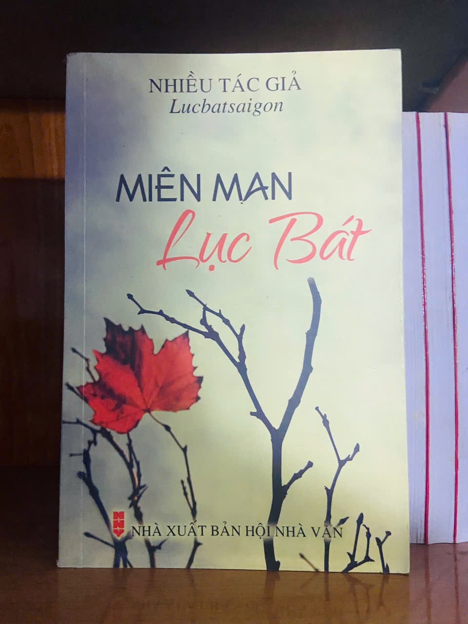 Miên man Lục Bát VĂN HỌC VAVO1301