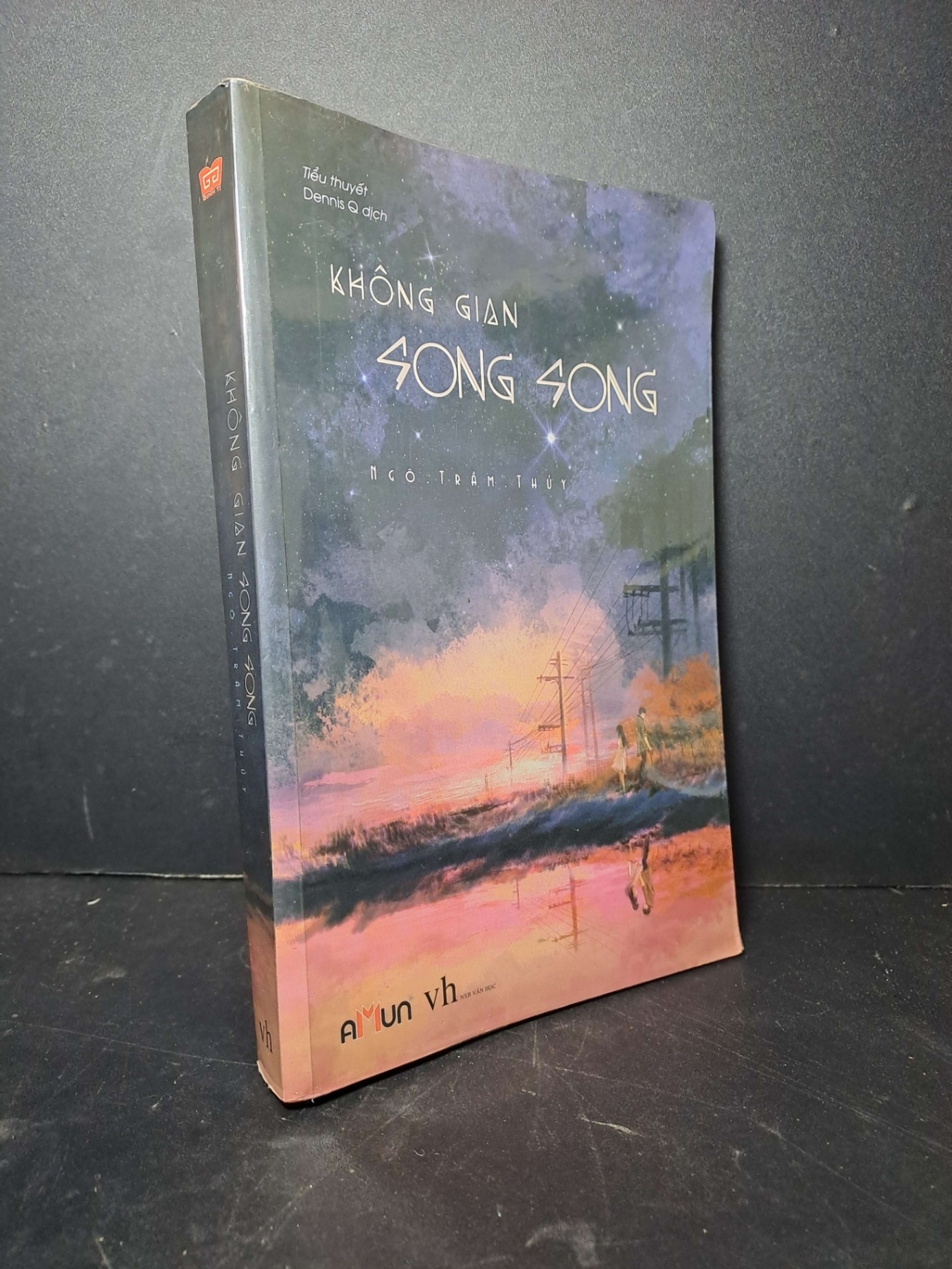 Không gian song song - Ngô Trầm Thủy 2017 mới 90% VĂN HỌC HCM2012-29 (NSX)
