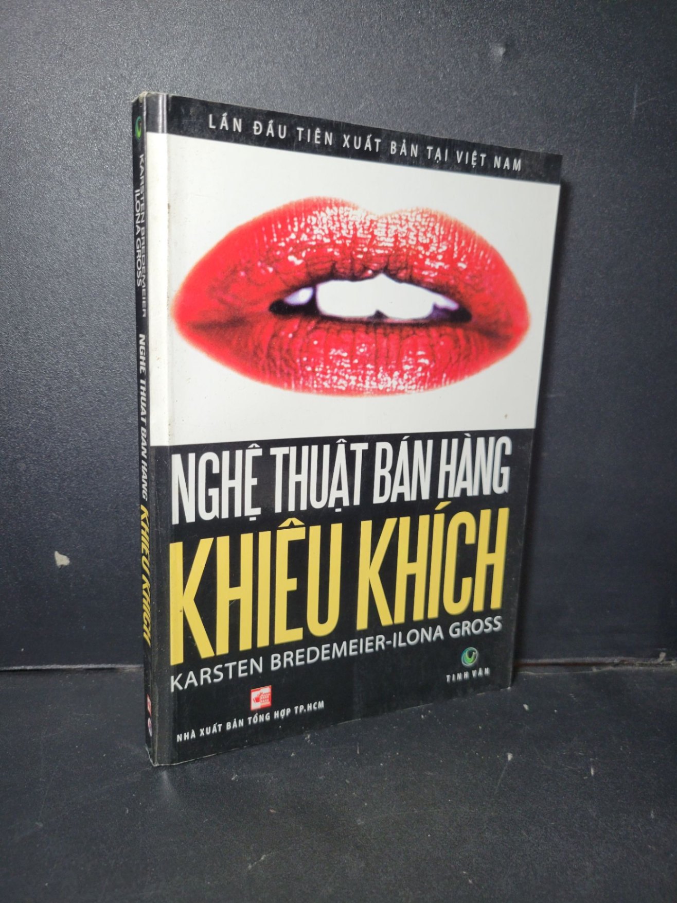 Nghệ thuật bán hàng khiêu khích mới 80% ố nhẹ 2008 HCM1001 Karsten Bredemeier - Iiona Gross MARKETING KINH DOANH