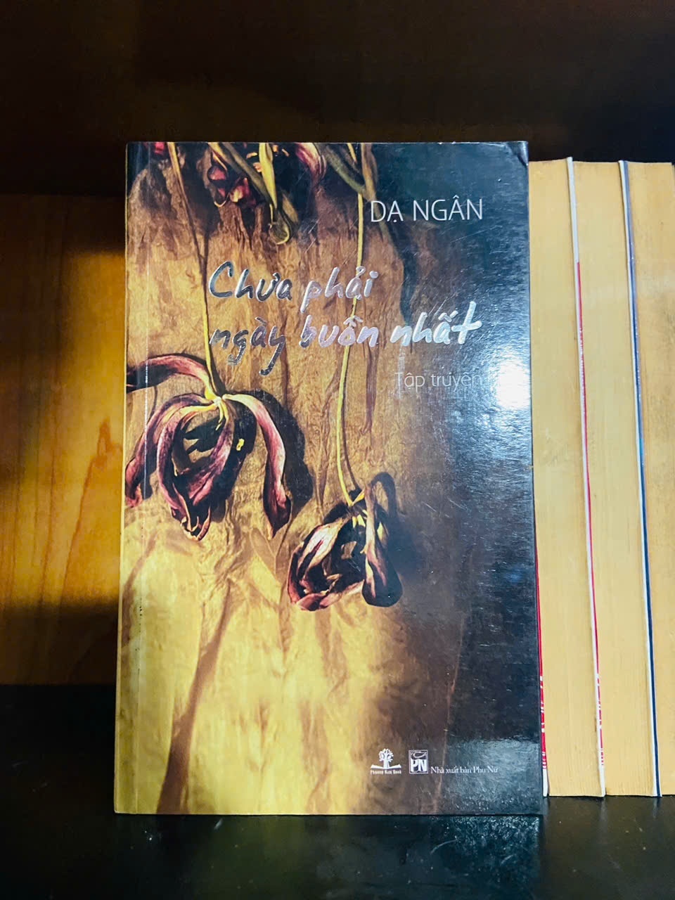 Chưa phải ngày buồn nhất - Dạ Ngân - VĂN HỌC - VAVO1211