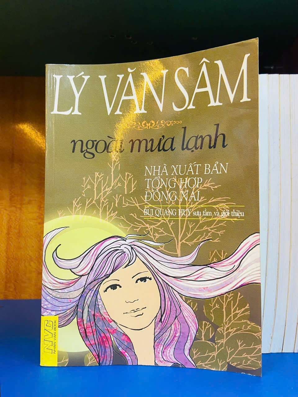 Ngoài mưa lạnh - Lý Văn Sâm VĂN HỌC VAVO0810
