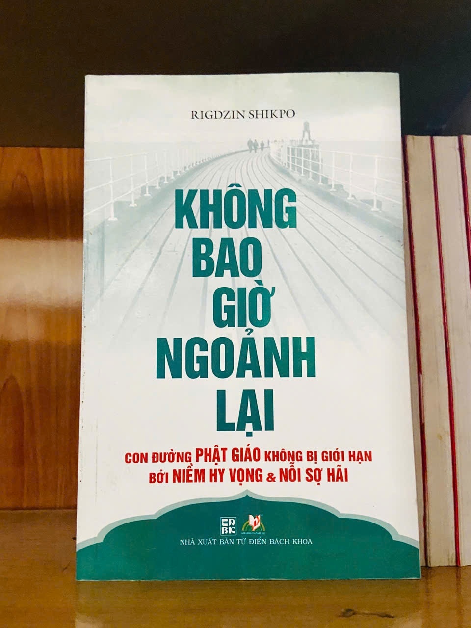 Không bao giờ ngoảnh lại - Rigdzin Shikpo - TÂM LINH - TÔN GIÁO - THIỀN - VAVO2911-127