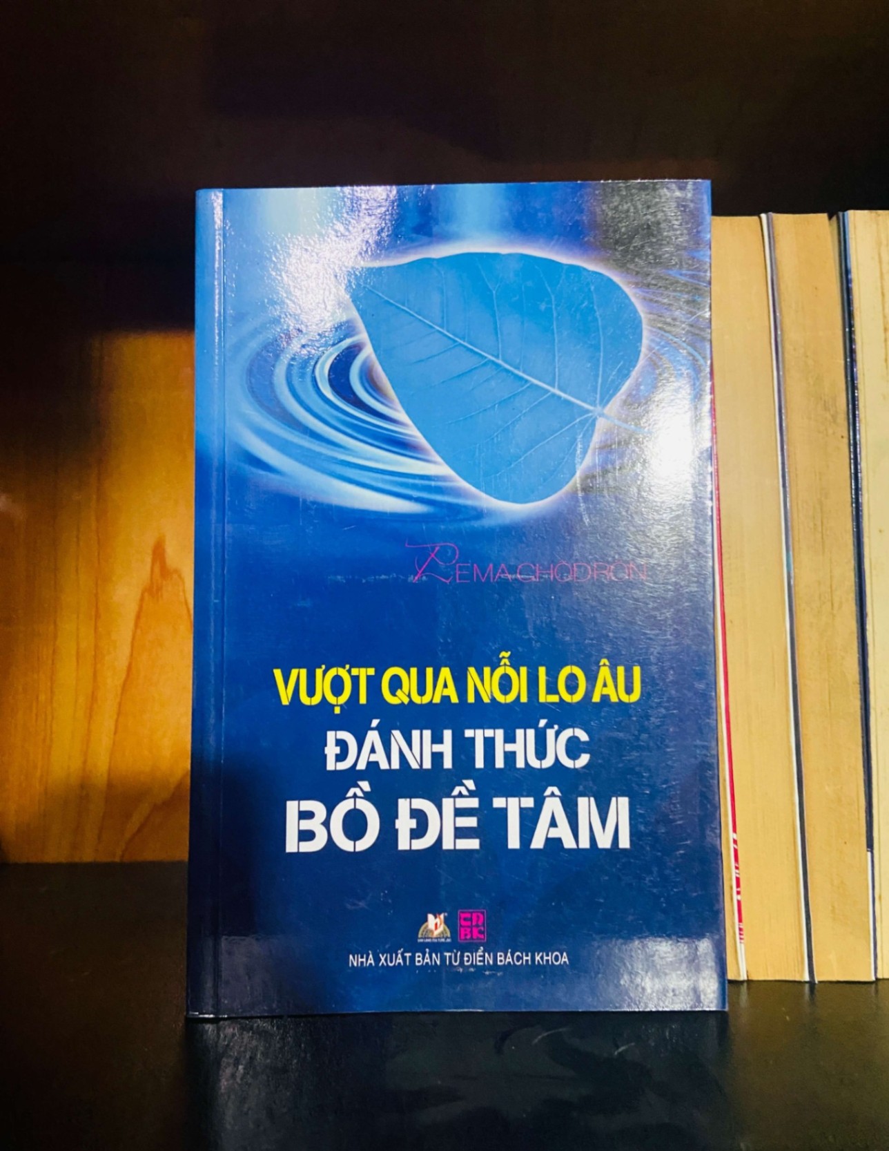 Vượt qua nỗi lo âu đánh thức Bồ Đề Tâm TÂM LINH - TÔN GIÁO - THIỀN VAVO0810