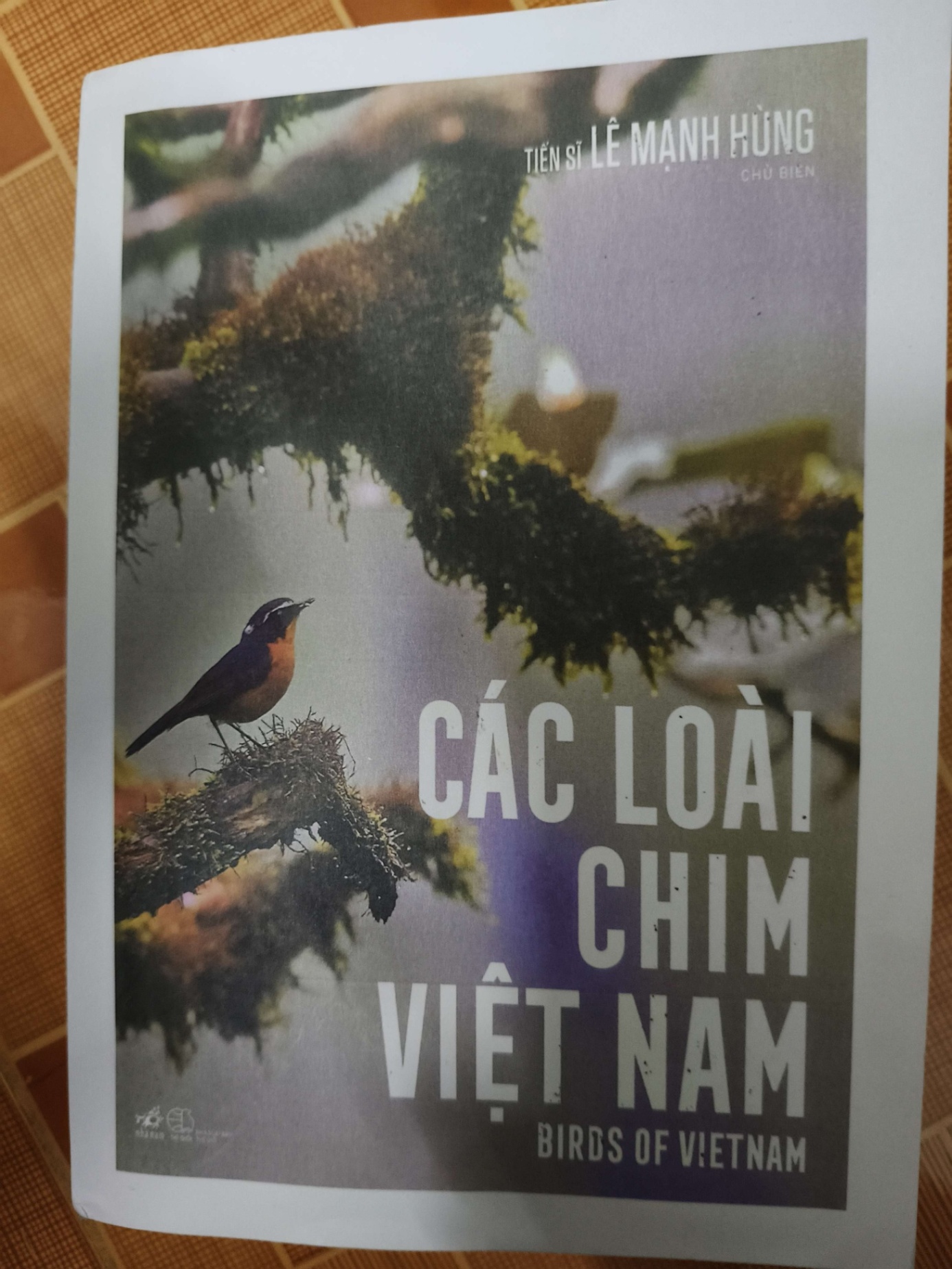 Remake Các loài chim Việt Nam - 821 trang - LỊCH SỬ - CHÍNH TRỊ - TRIẾT HỌC - ANTQ2911-75