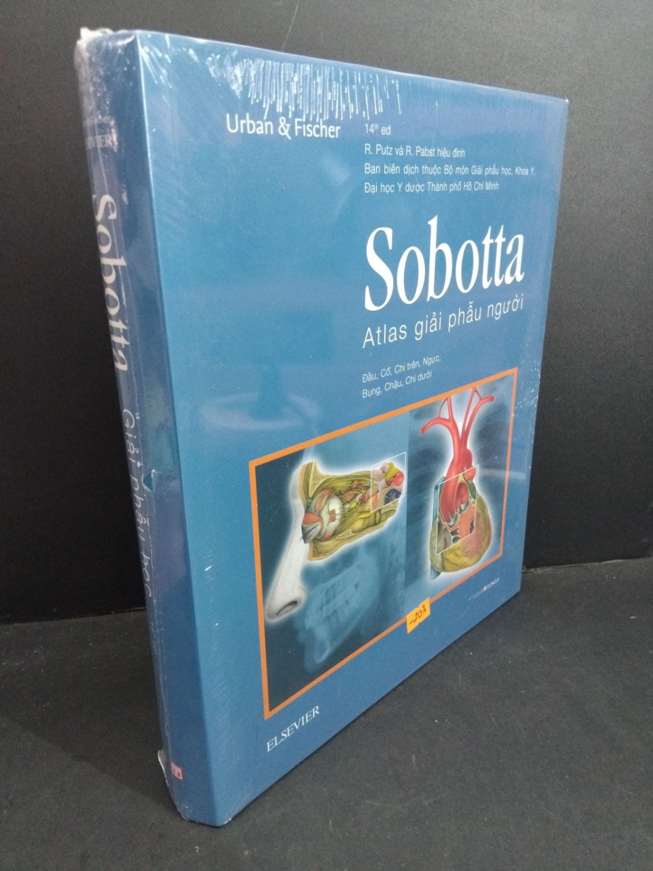 Sobotta Atlas giải phẫu học mới 100% bìa cứng HCM0412 Urban & Fischer GIÁO TRÌNH, CHUYÊN MÔN