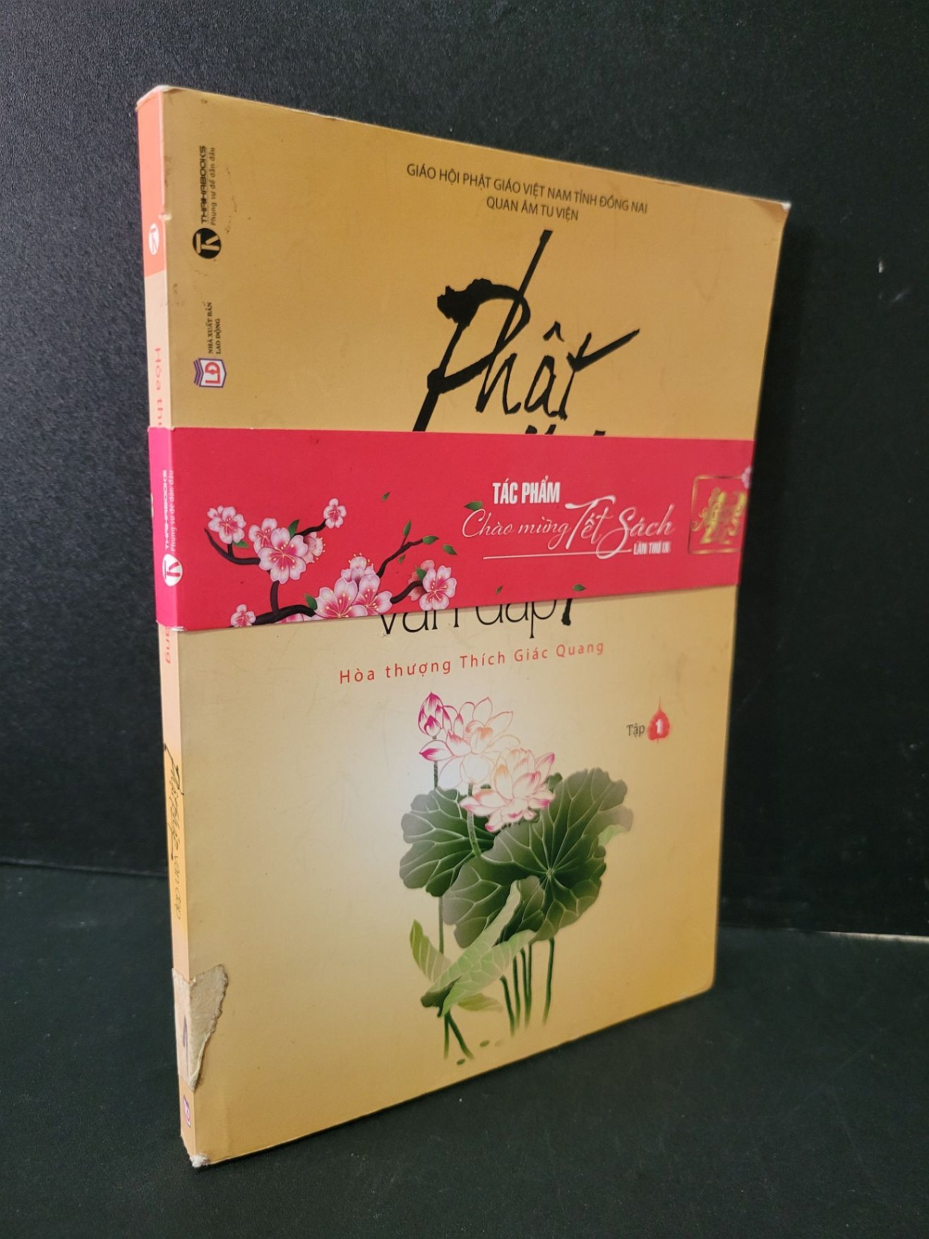 Phật pháp vấn đáp tập 1 mới 80% bẩn bìa, ố nhẹ 2016 Hòa thượng Thích Giác Quang HCM1804 TÂM LINH - TÔN GIÁO - THIỀN