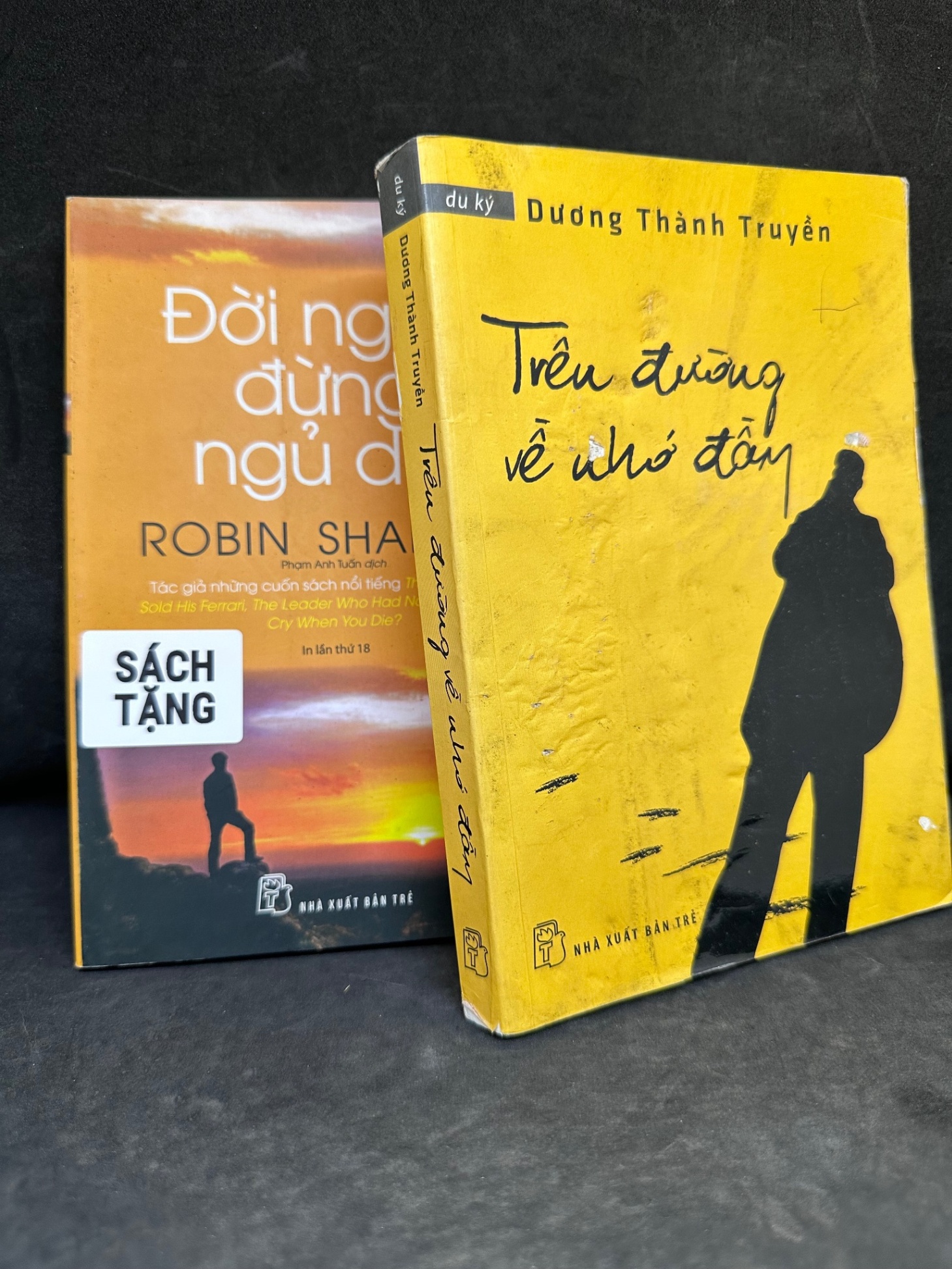 [Phiên Chợ Sách Cũ] Trên Đường Về Nhớ Đầy (Sách Tặng Kèm), Dương Thành Truyền, 2015 1304 SBM