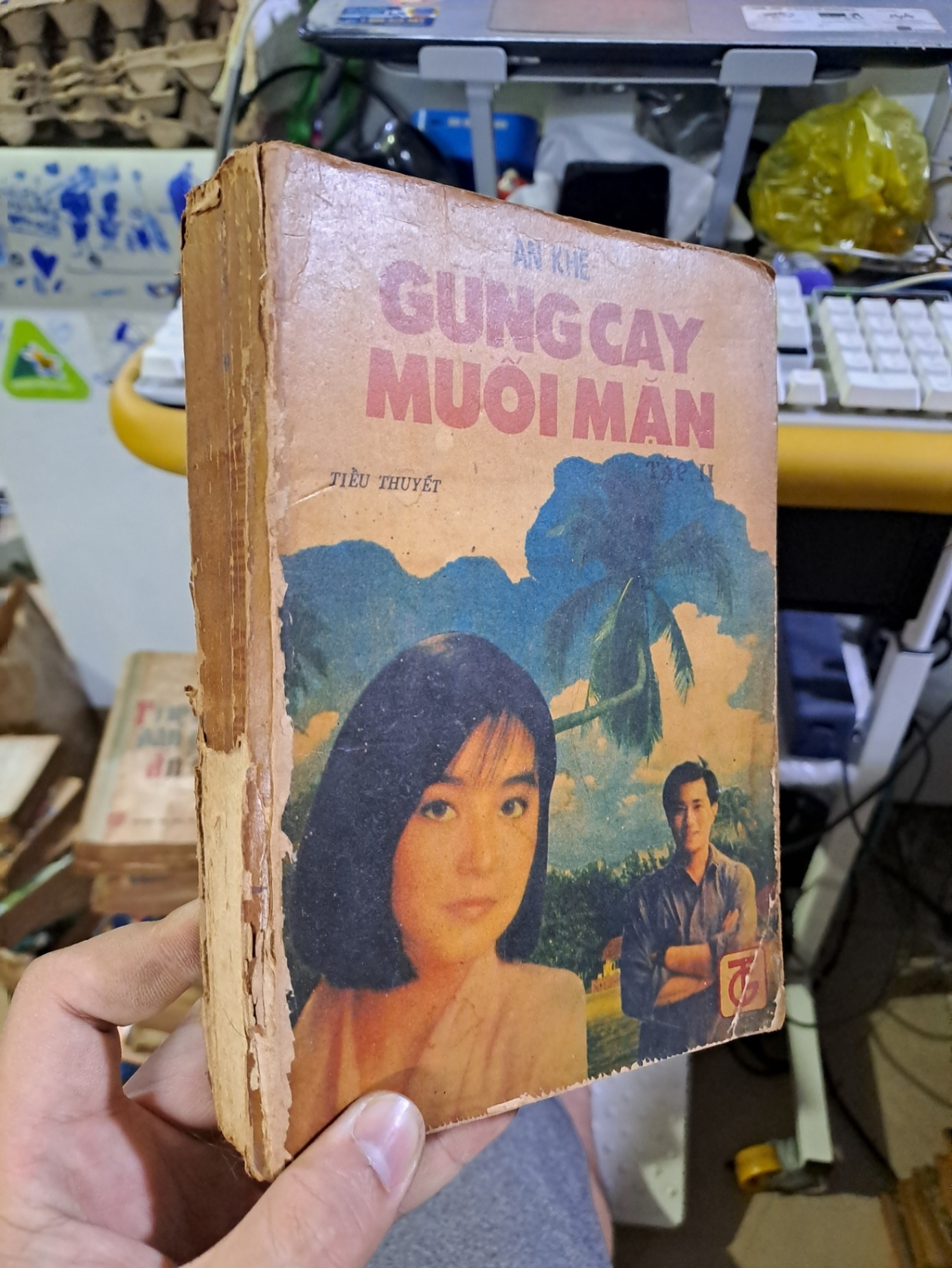 Gừng cay muối mặn tập 2 An Khê mới 70% ố rách bìa 1990 Văn học Việt Nam HCM1709