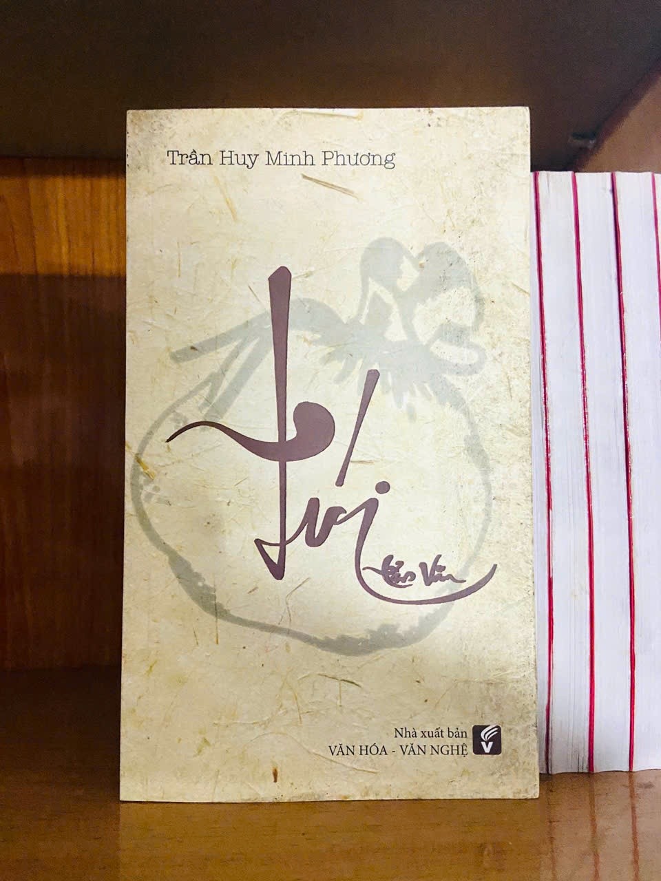 Túi / Trần Huy Minh Phương VĂN HỌC VAVO1301