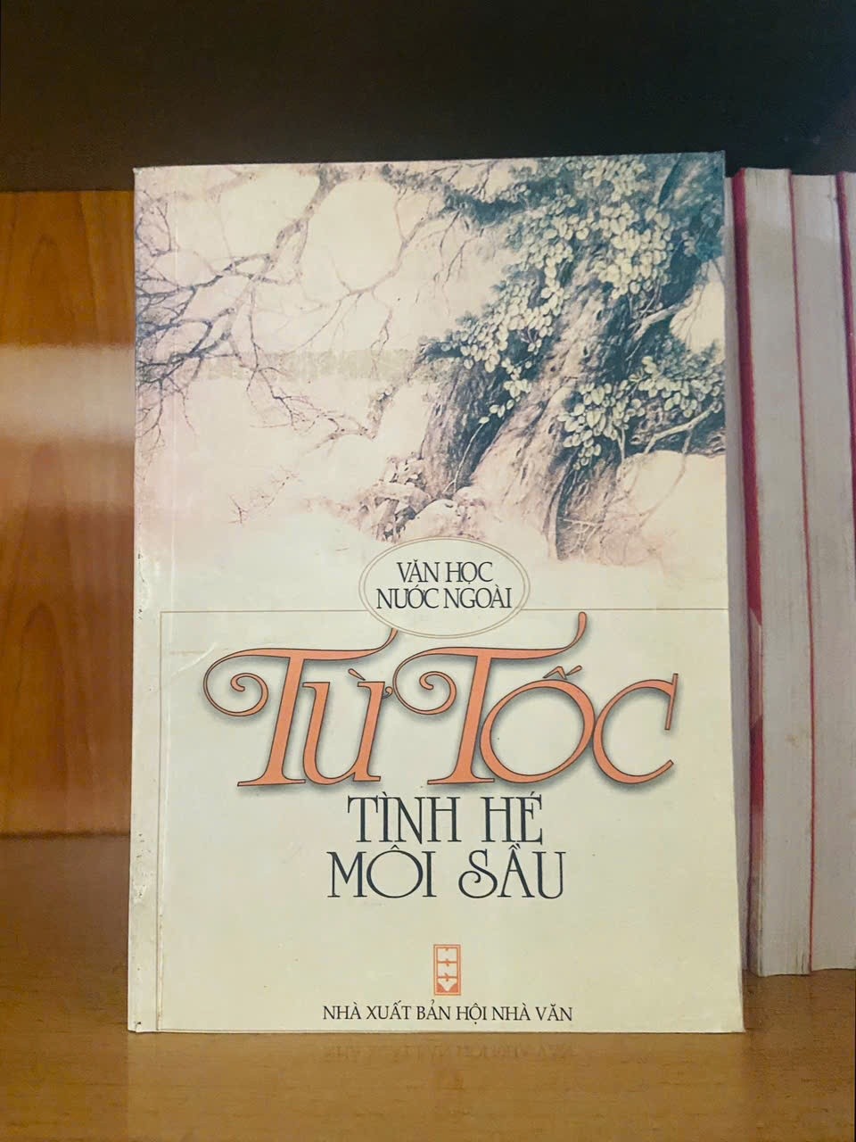 Tình hé môi sầu / Từ Tốc VĂN HỌC VAVO1301