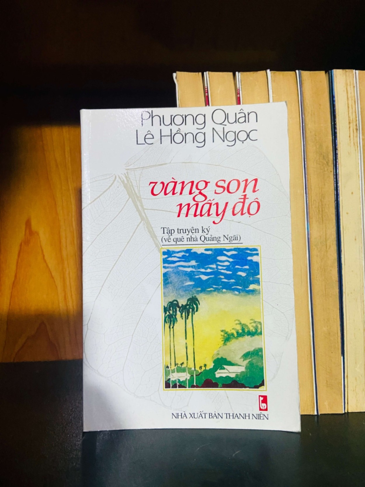 Vàng son mấy độ - Phương Quân, Lê Hồng Ngọc VĂN HỌC VAVO0810