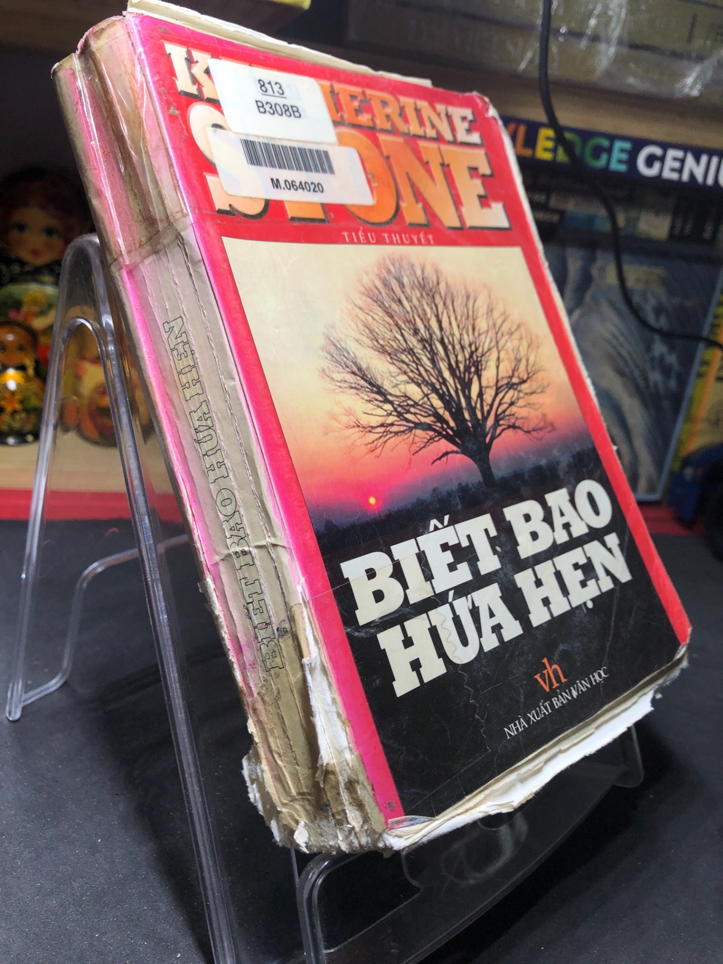 Biết bao hứa hẹn 2002 mới 60% ố bẩn bụng xấu bìa xấu Katherine Stone HPB0906 SÁCH VĂN HỌC (NSX)
