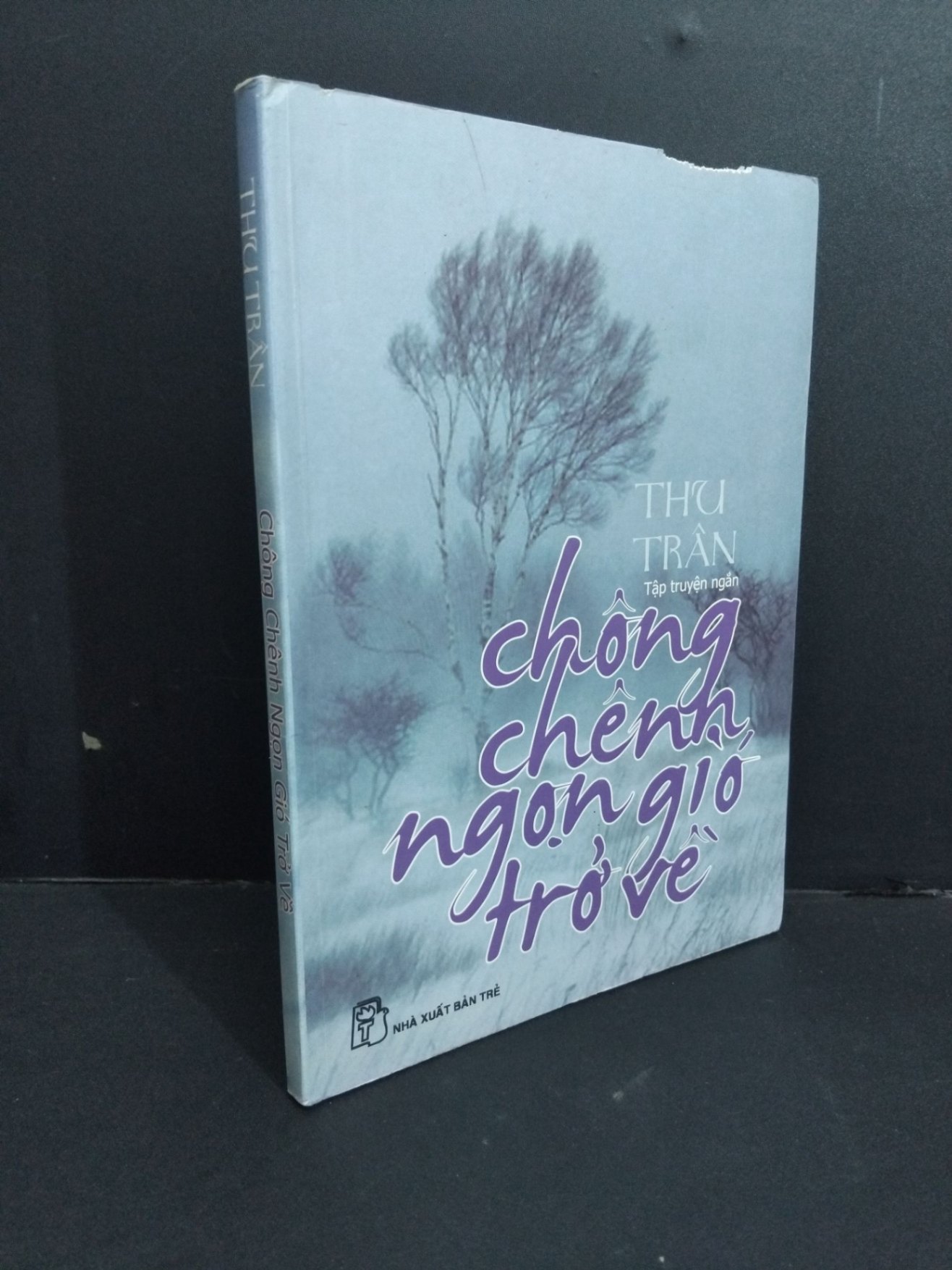 Chông chênh ngọn gió trở về mới 70% bẩn bìa, ố, tróc bìa, tróc gáy, bị mọt, vết vẽ 2008 HCM2811 Thu Trân VĂN HỌC (NSX)