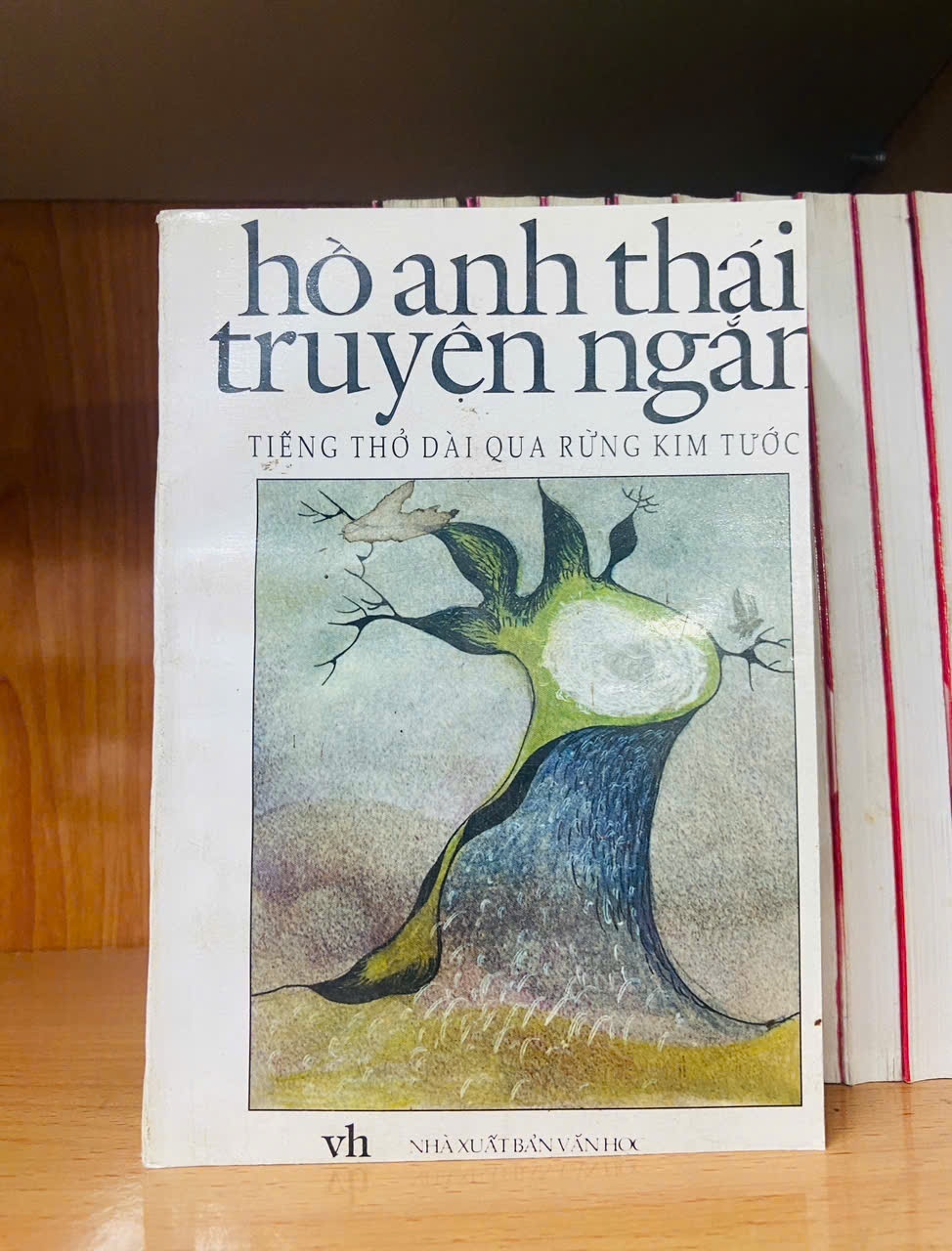 Tiếng thở dài qua rừng Kim Tước - Hồ Anh Thái - VĂN HỌC - VAVO2011-14