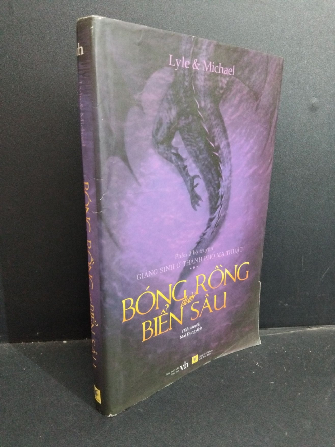 Bóng rồng dưới biển sâu mới 80% bẩn bìa, rách áo bìa 2016 HCM1712 Lyle & Michael VĂN HỌC (NSX)