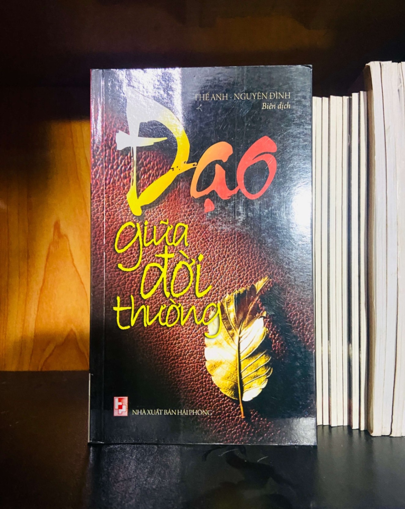 Đạo giữa đời thường - Thế Anh, Nguyên Đình TÂM LINH - TÔN GIÁO - THIỀN VAVO0810