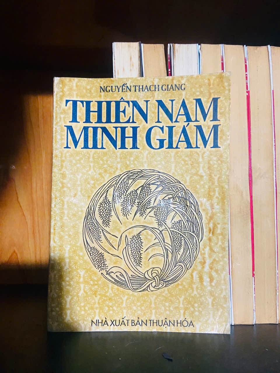 Thiên Nam Minh Giám / Nguyễn Thạch Giang VĂN HỌC VAVO2012-71